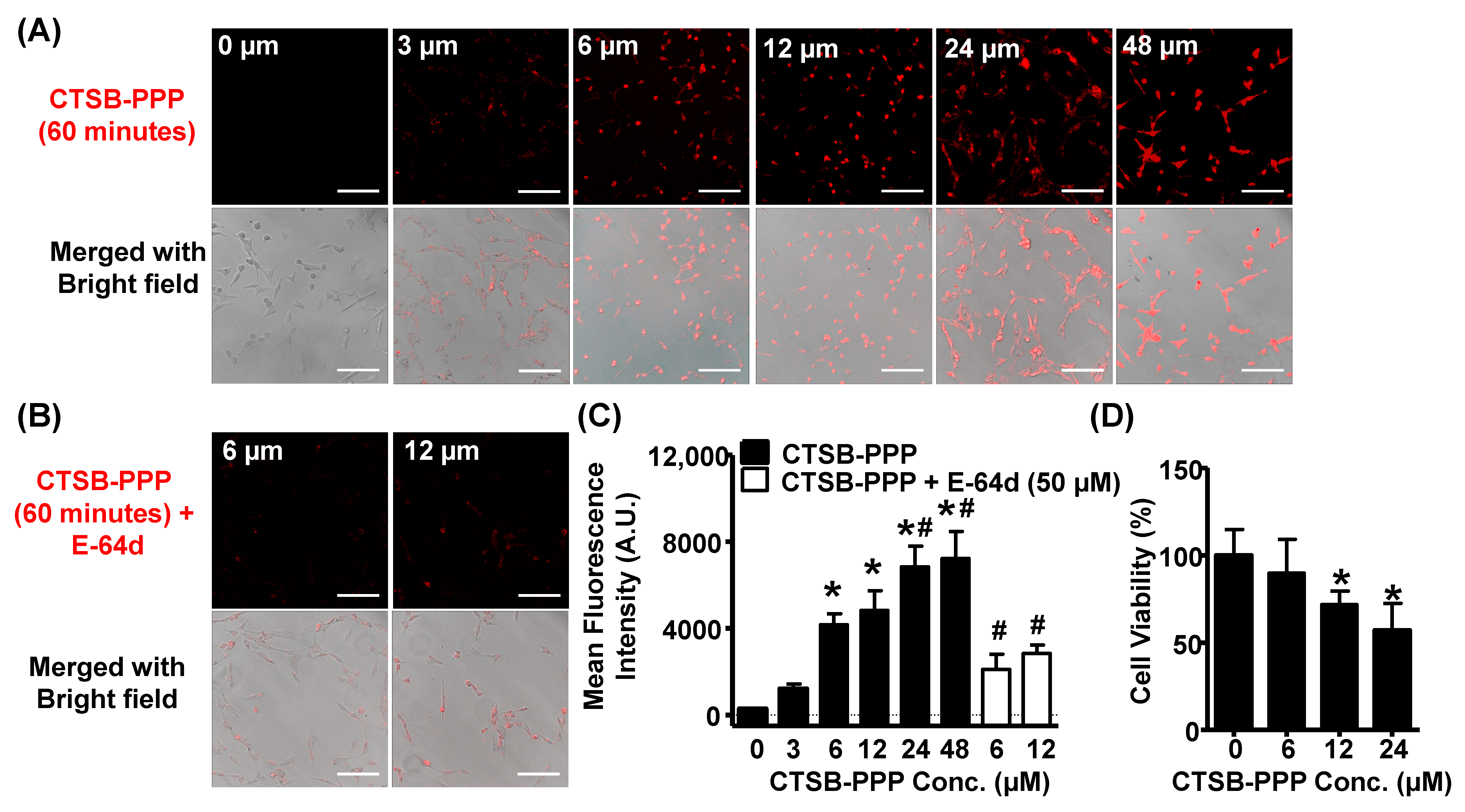 Pharmaceuticals 15 00564 g003
