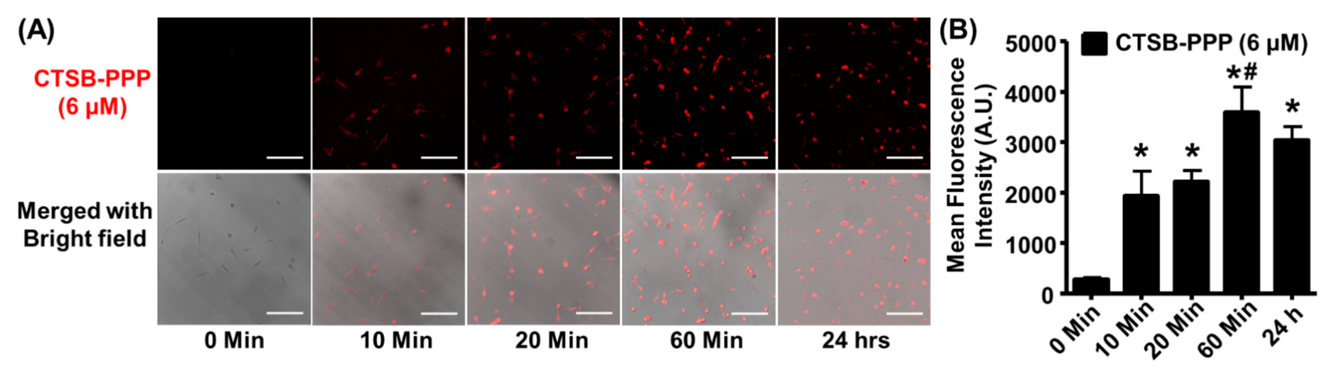 Pharmaceuticals 15 00564 g004