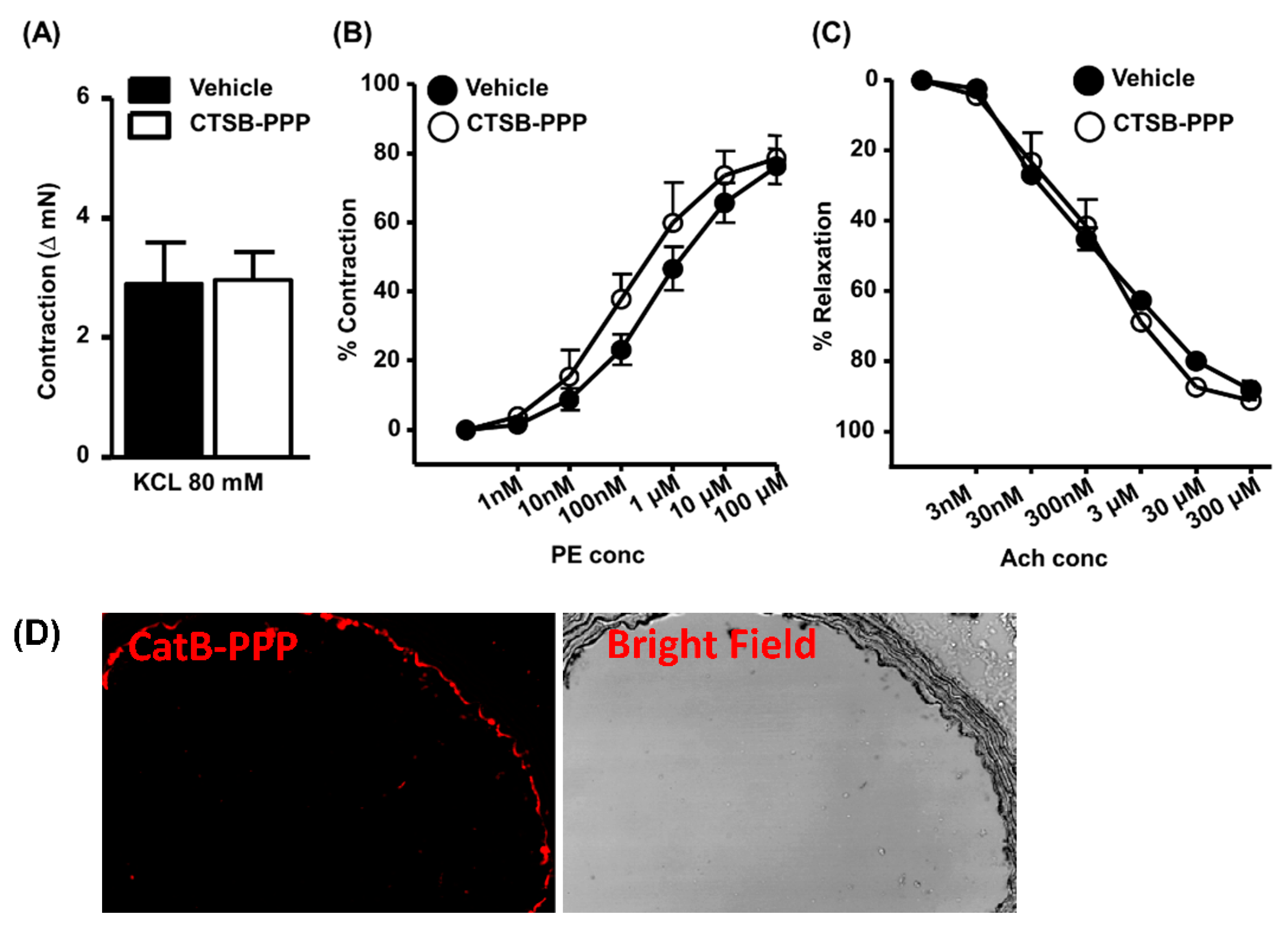 Pharmaceuticals 15 00564 g005