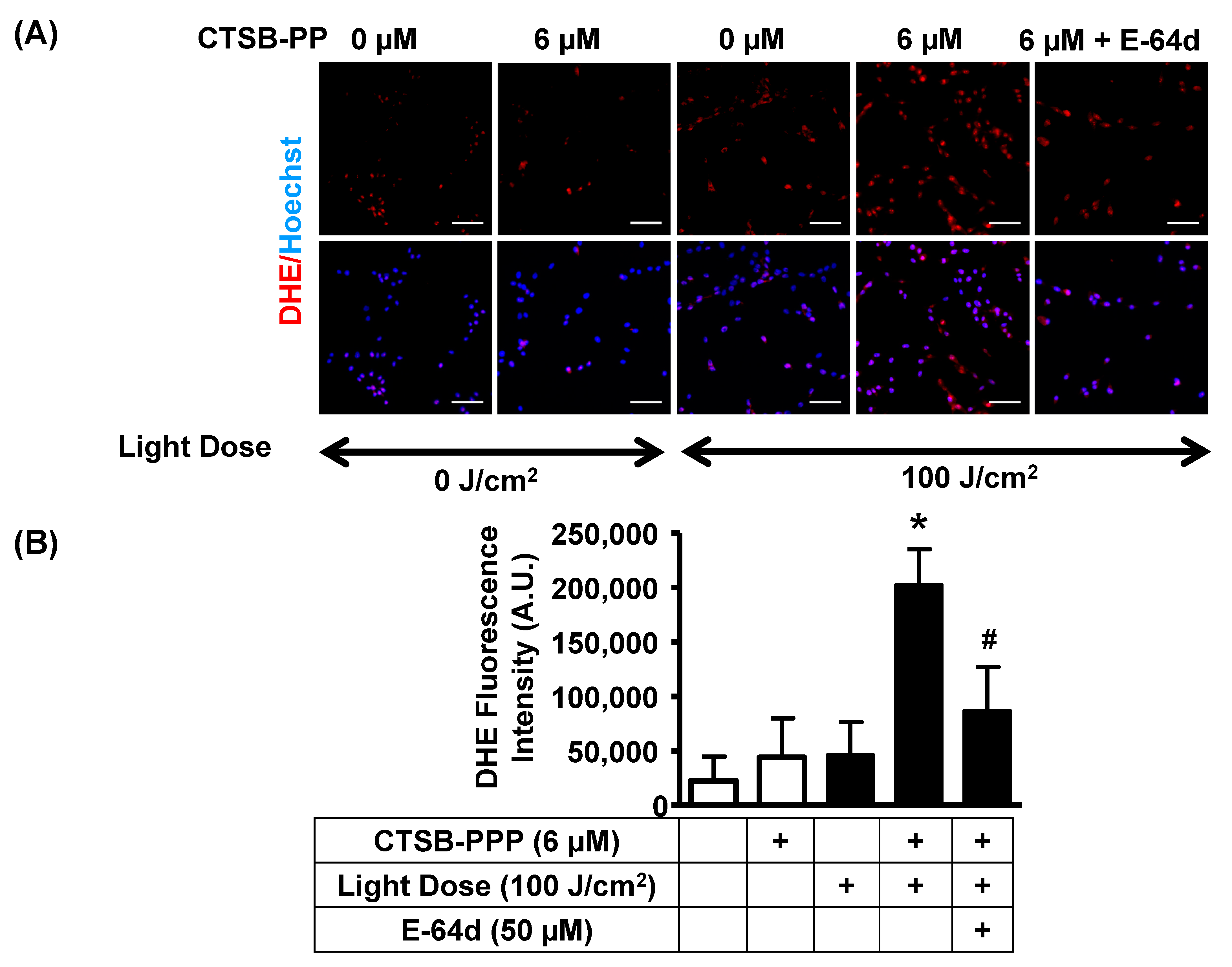 Pharmaceuticals 15 00564 g007