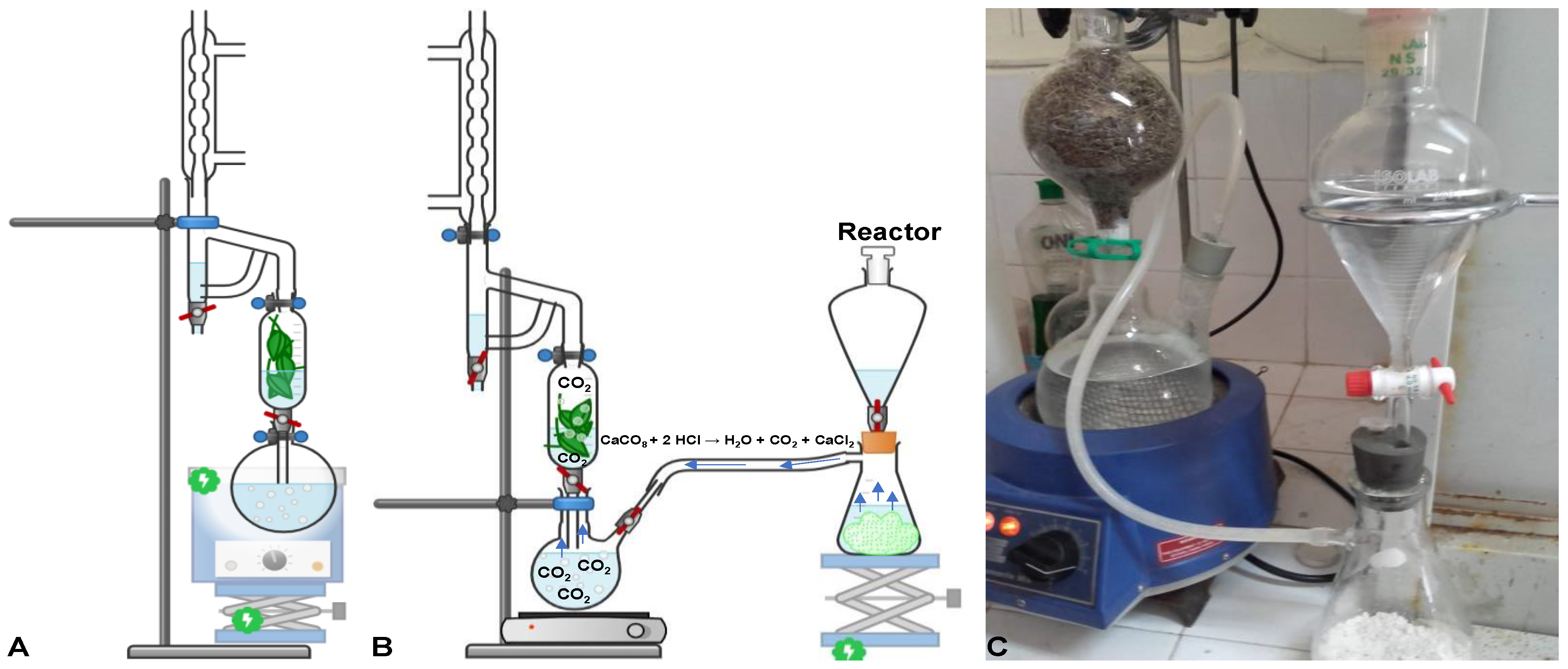 Pharmaceuticals 15 00567 g001