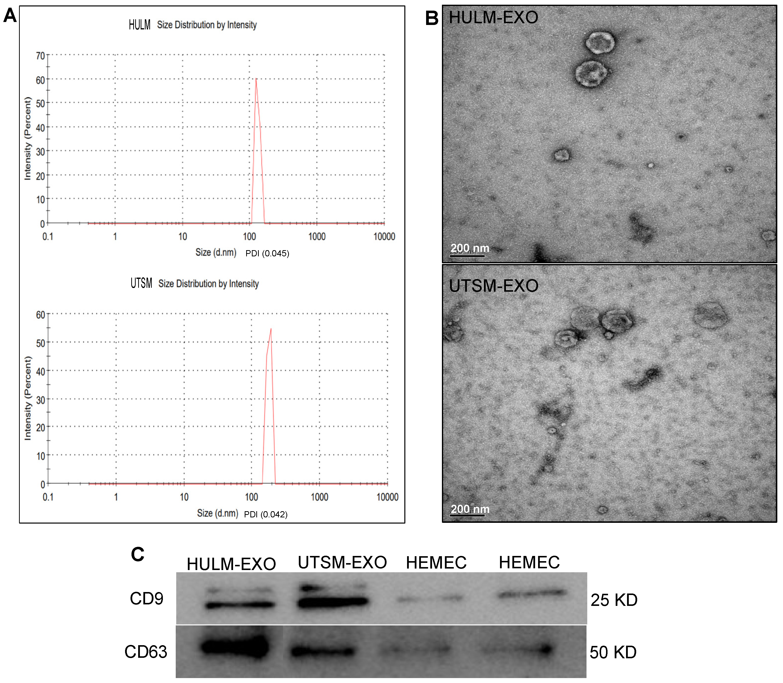 Pharmaceuticals 15 00577 g001 Pharmaceuticals 15 00577 g001