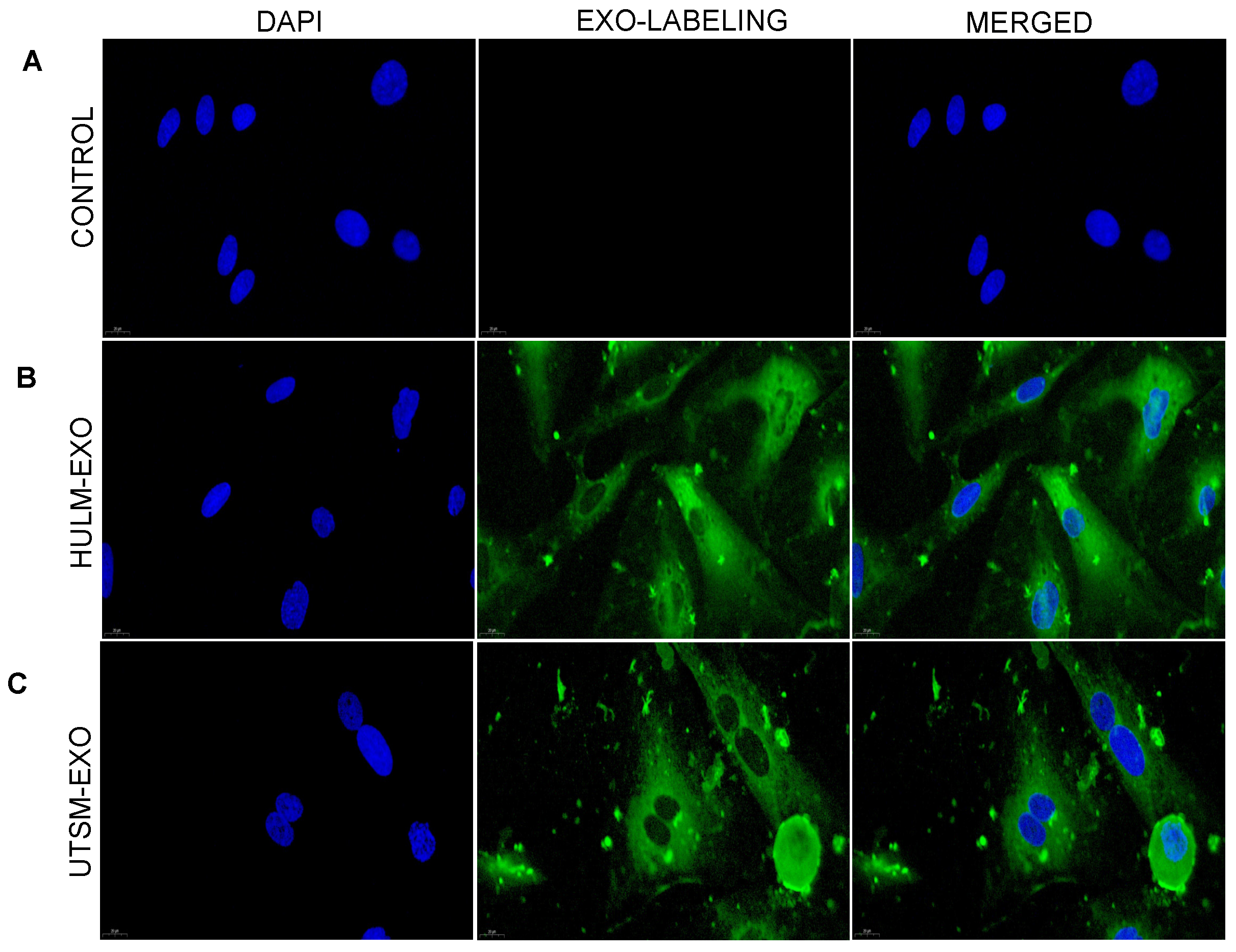 Pharmaceuticals 15 00577 g002 Pharmaceuticals 15 00577 g002