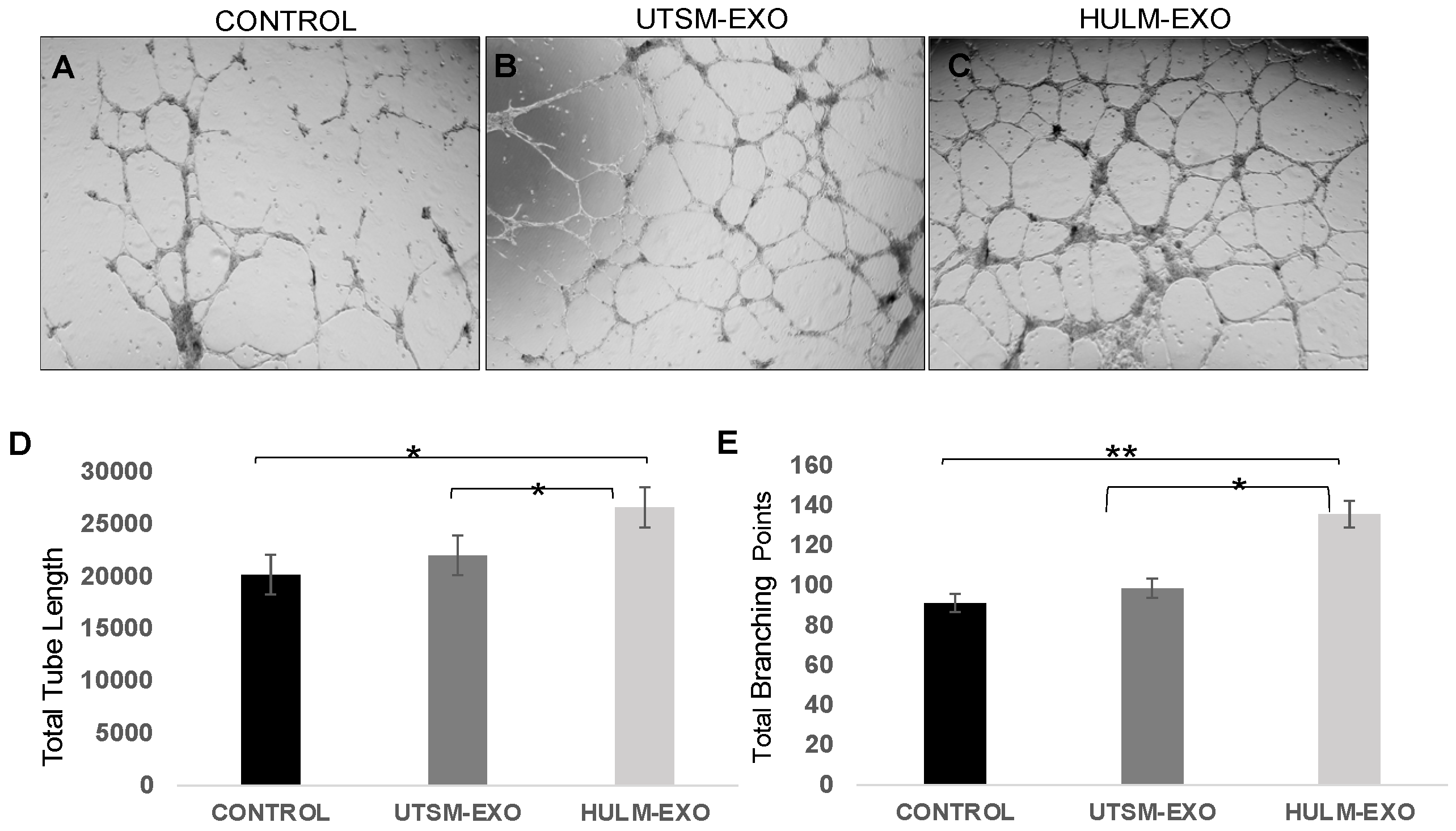 Pharmaceuticals 15 00577 g004 Pharmaceuticals 15 00577 g004
