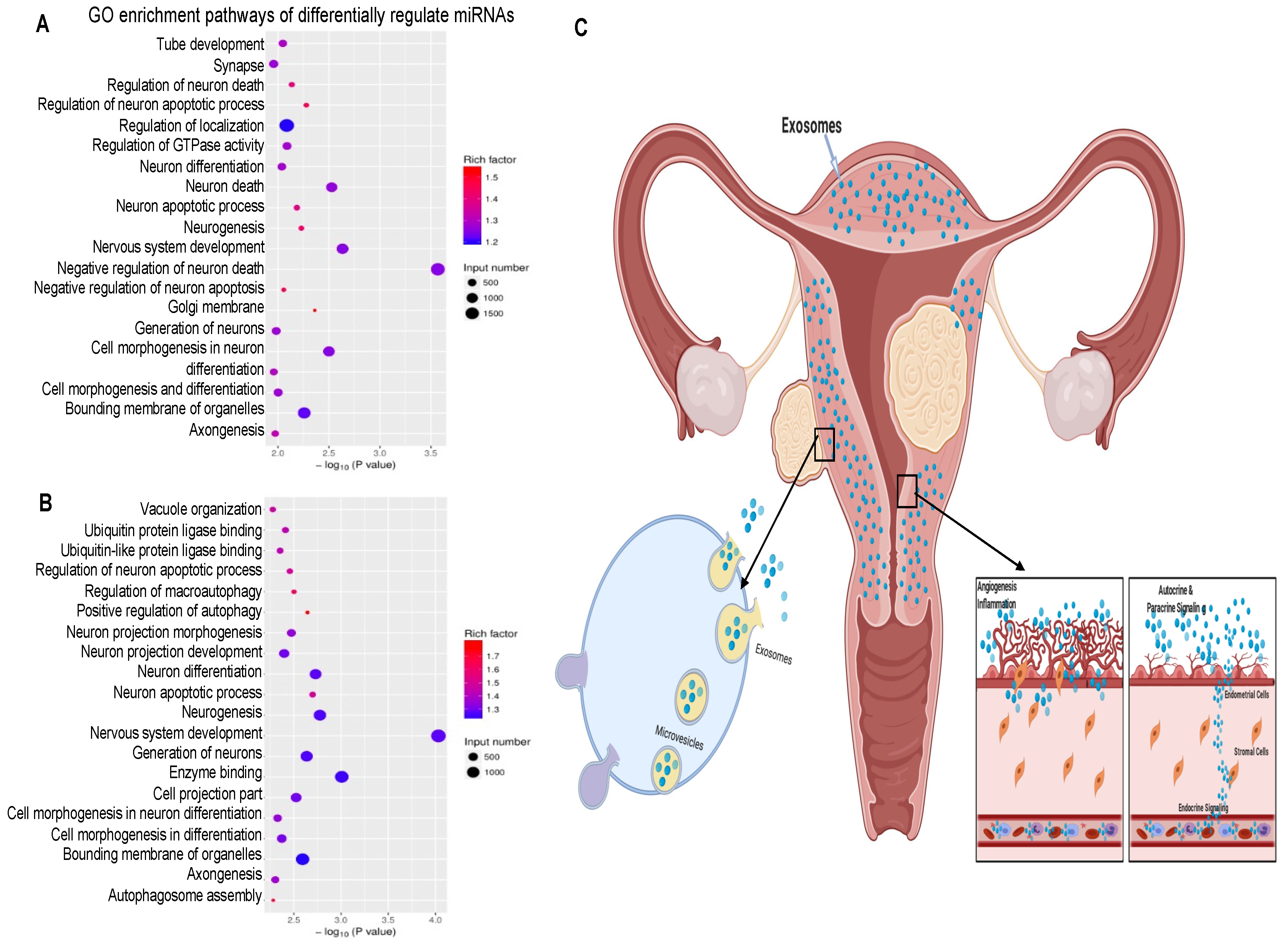 Pharmaceuticals 15 00577 g006 Pharmaceuticals 15 00577 g006