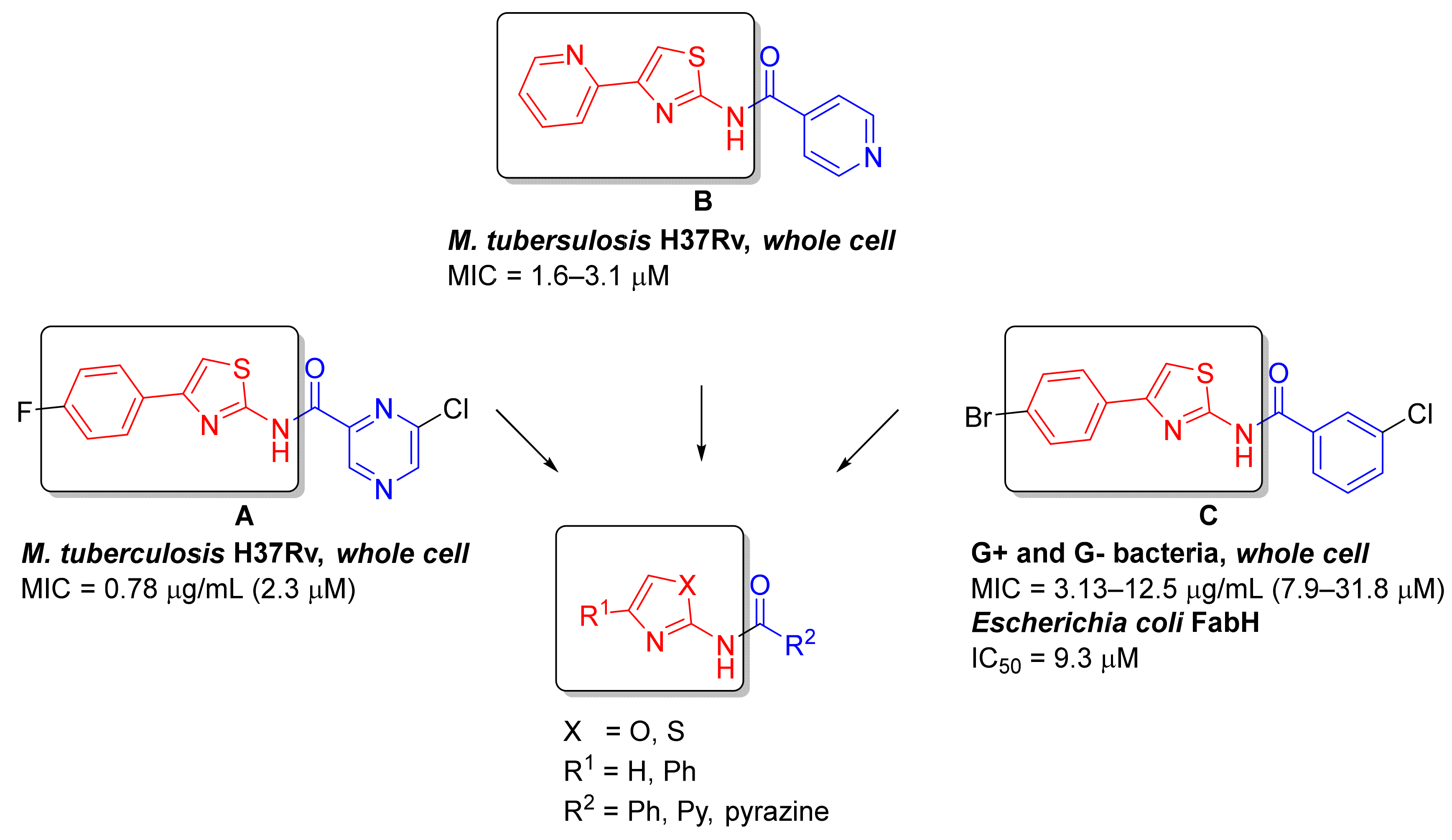 Pharmaceuticals 15 00580 g001 Pharmaceuticals 15 00580 g001