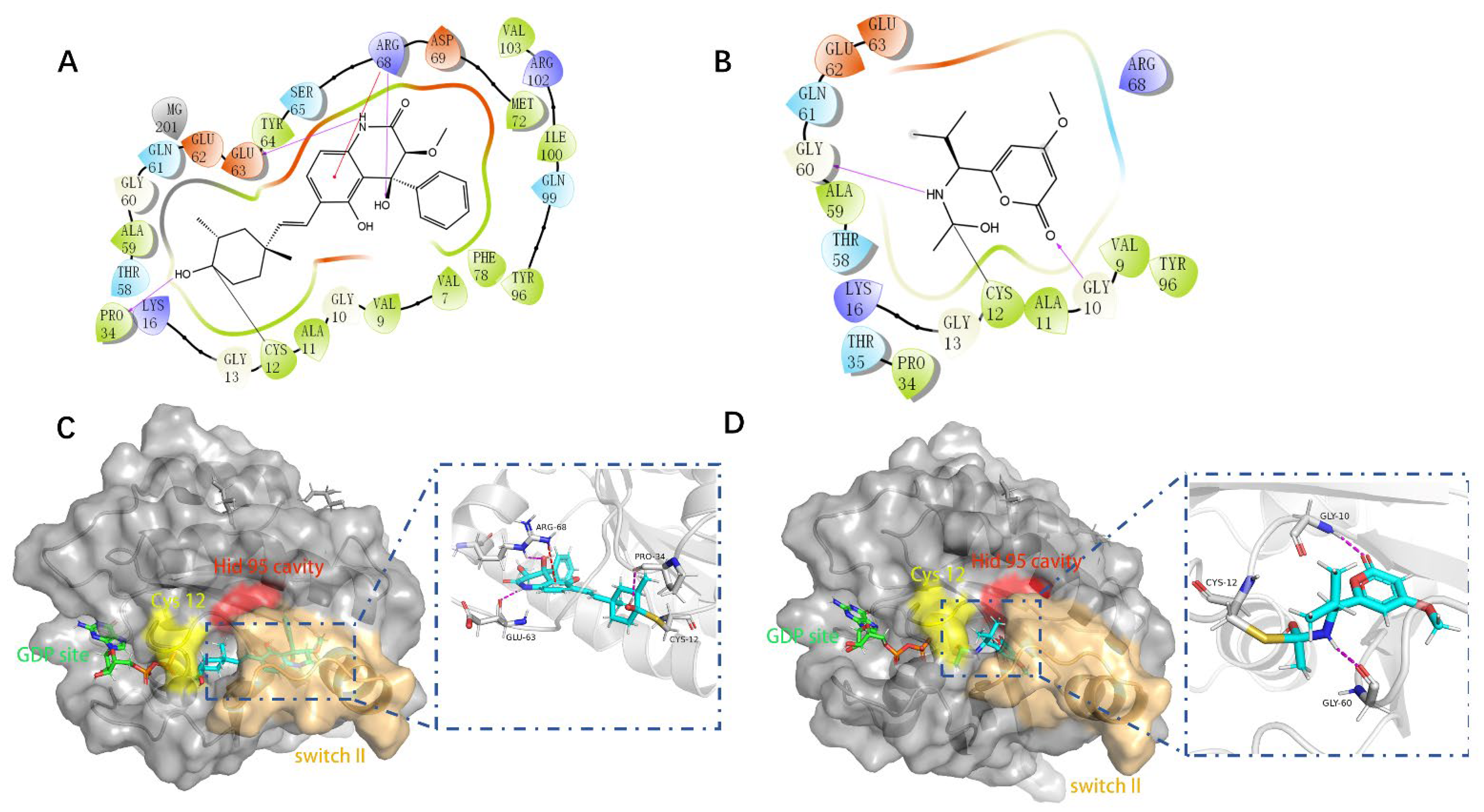 Pharmaceuticals 15 00584 g005