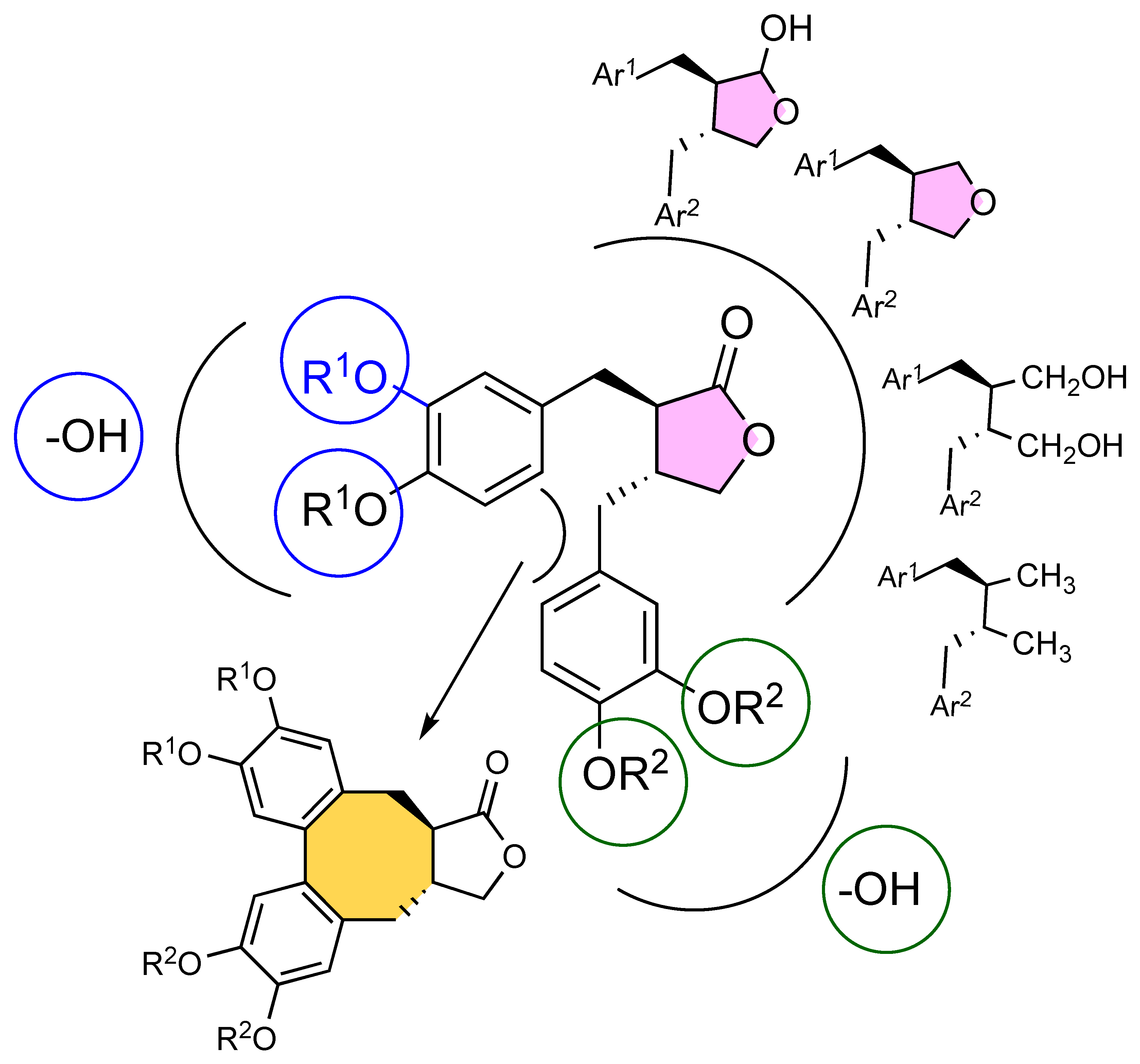 Pharmaceuticals 15 00585 g003