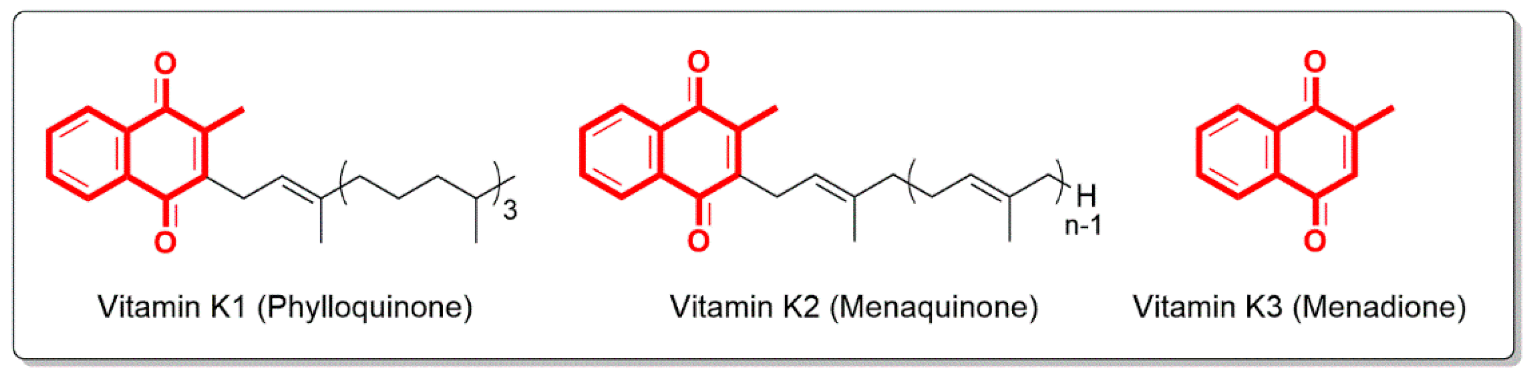 Pharmaceuticals 15 00586 g001