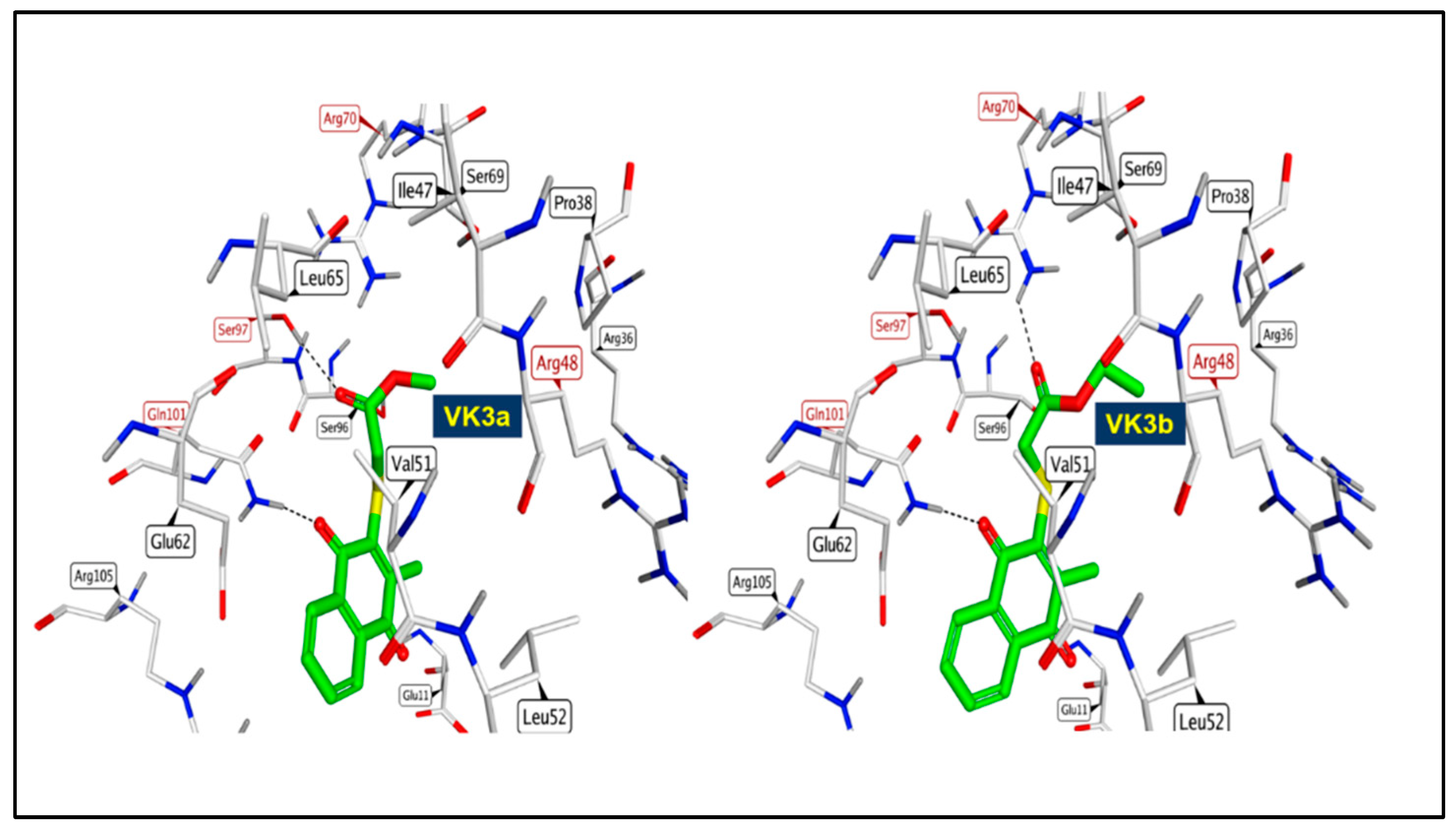 Pharmaceuticals 15 00586 g007