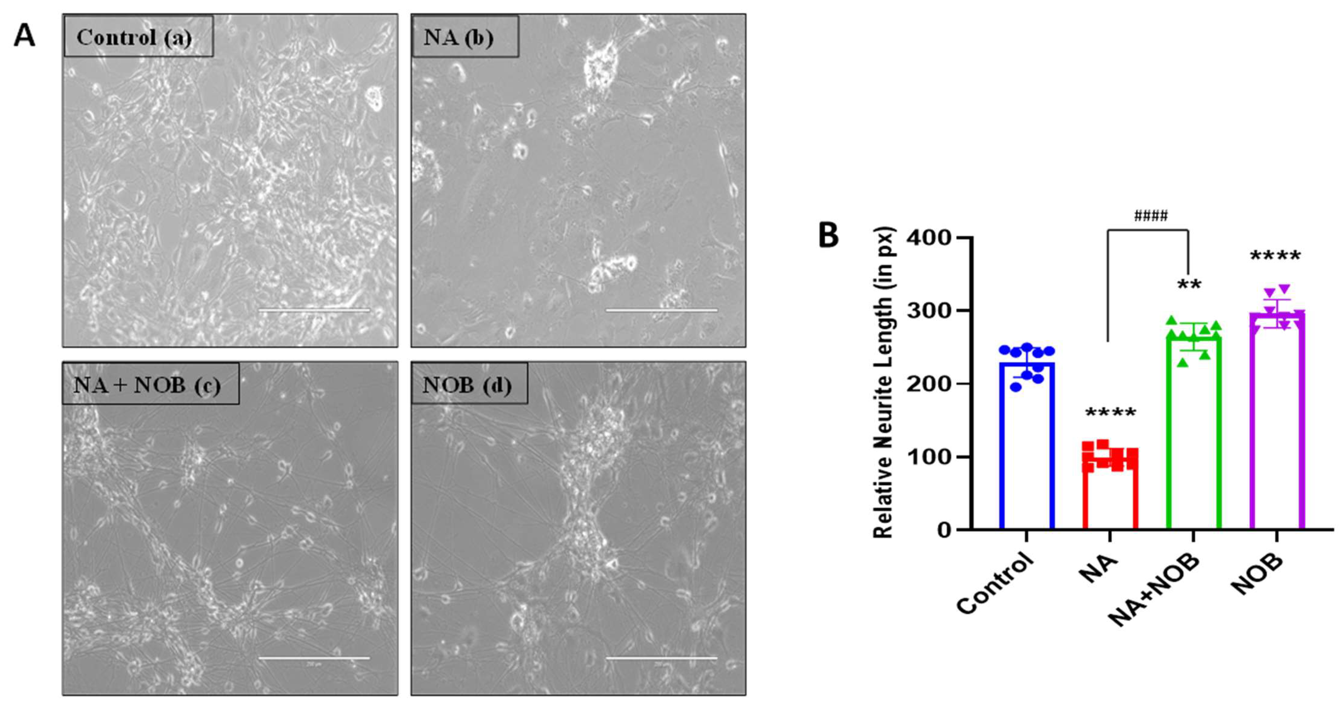 Pharmaceuticals 15 00593 g002