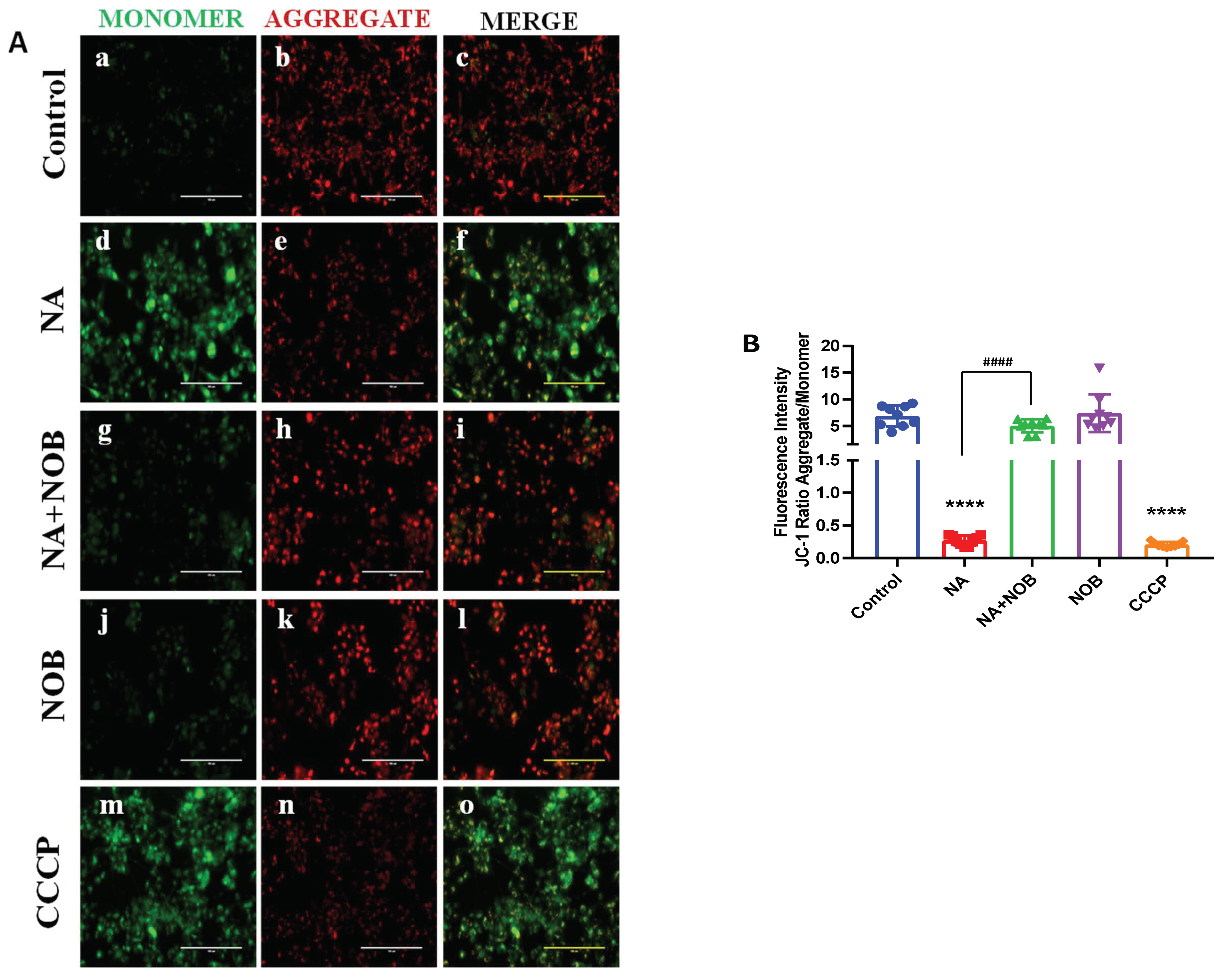 Pharmaceuticals 15 00593 g004