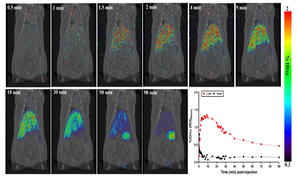 Pharmaceuticals 15 00595 g002 550