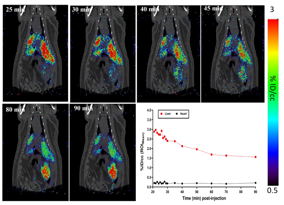 Pharmaceuticals 15 00595 g003 550
