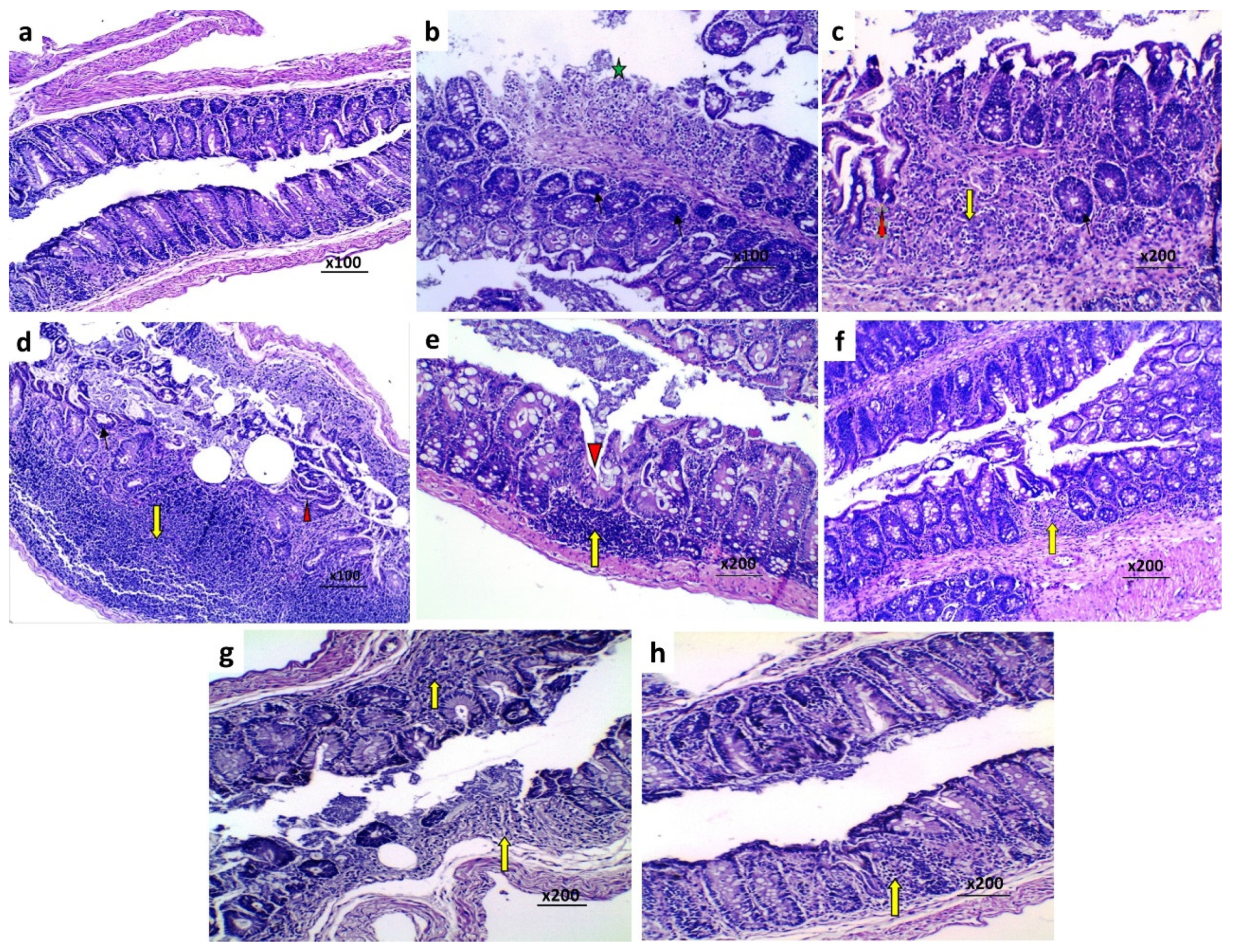 Pharmaceuticals 15 00600 g005 Pharmaceuticals 15 00600 g005