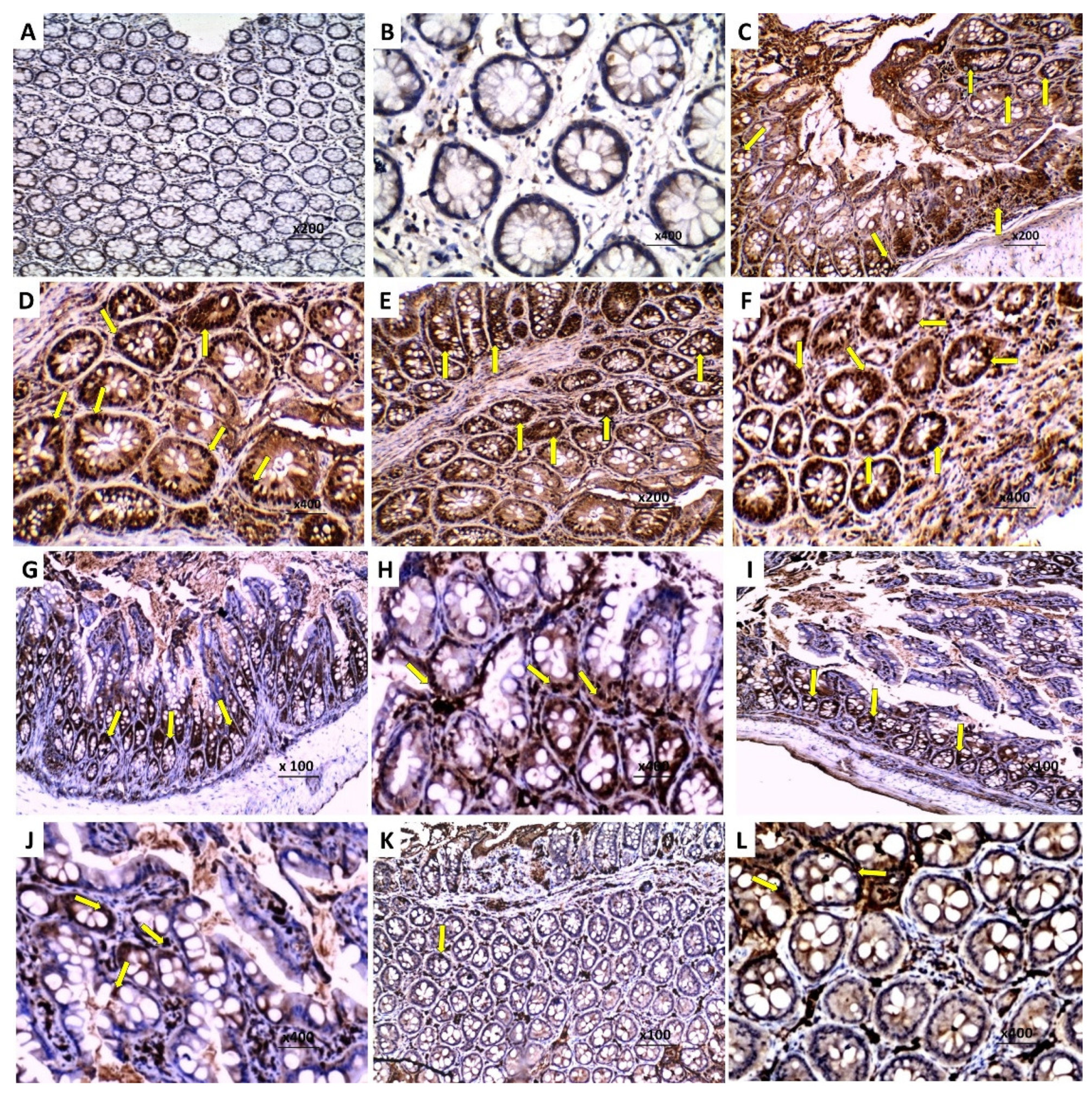 Pharmaceuticals 15 00600 g007 Pharmaceuticals 15 00600 g007