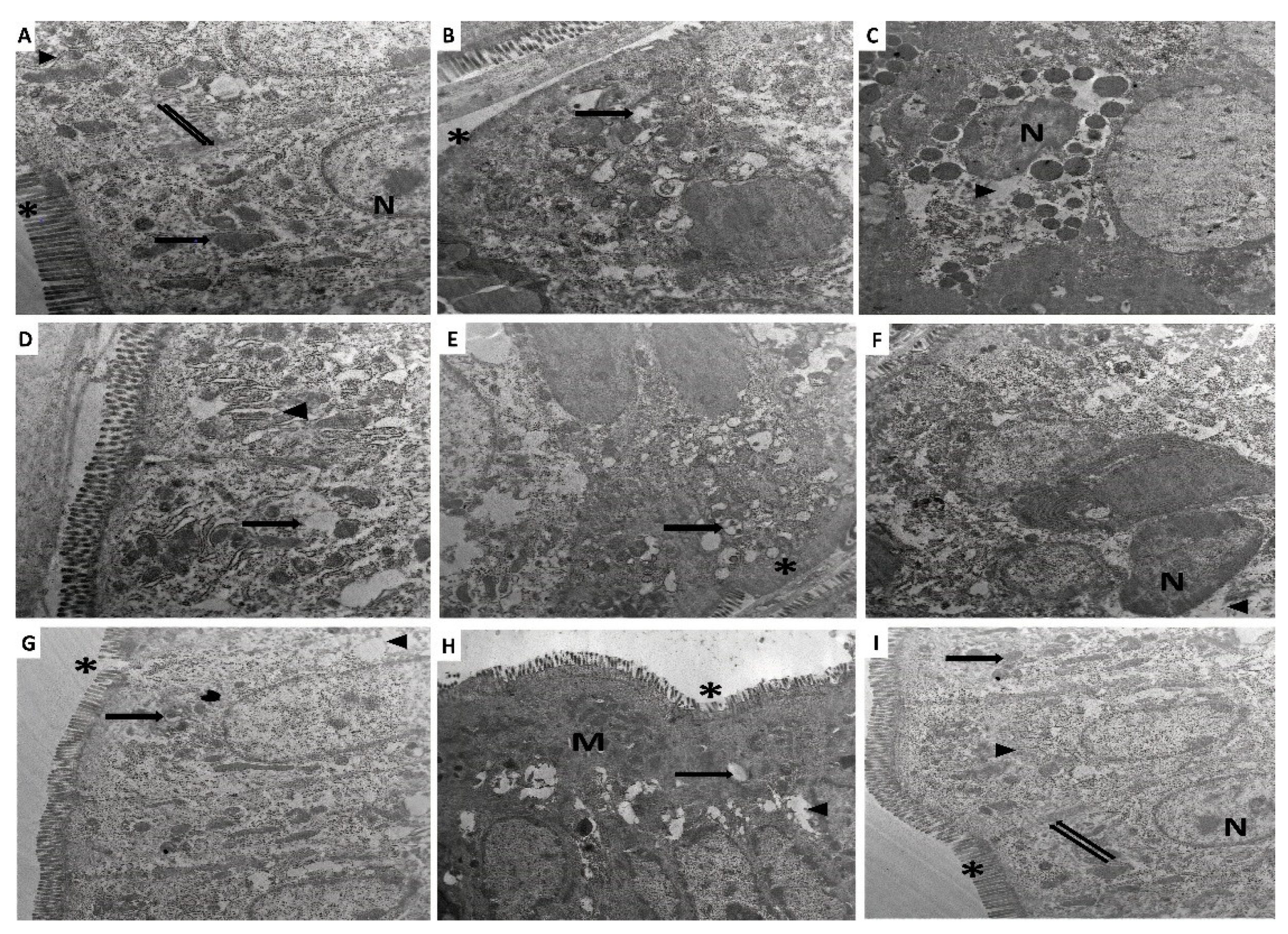 Pharmaceuticals 15 00600 g008 Pharmaceuticals 15 00600 g008
