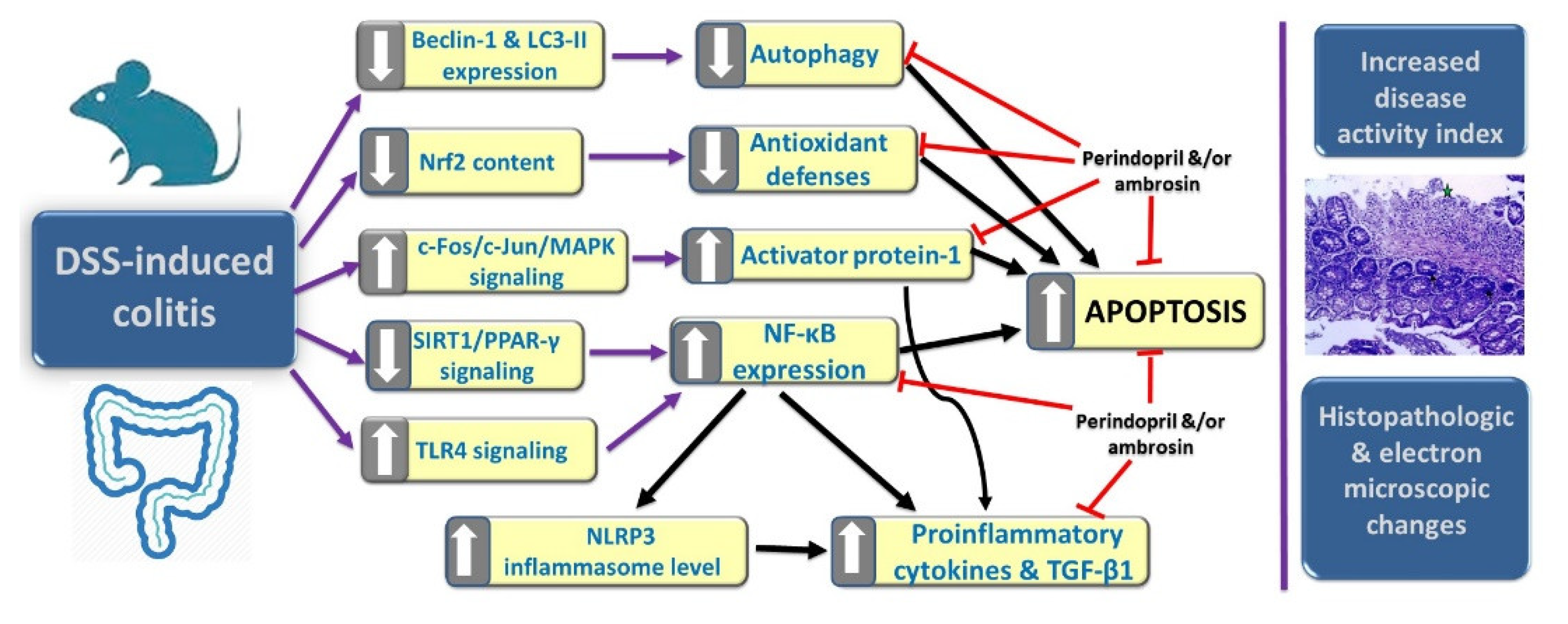 Pharmaceuticals 15 00600 g009 Pharmaceuticals 15 00600 g009