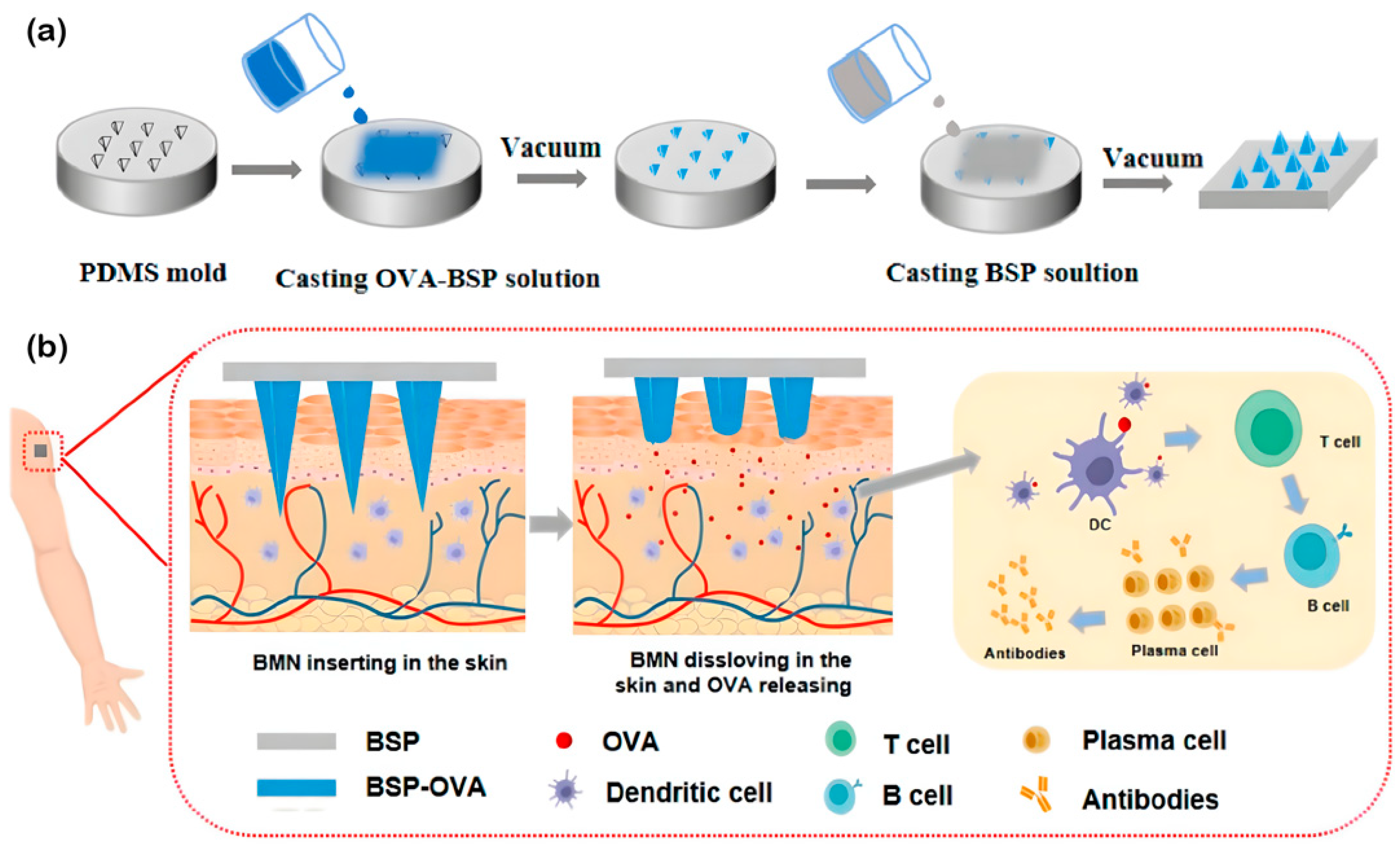 Pharmaceuticals 15 00602 g004