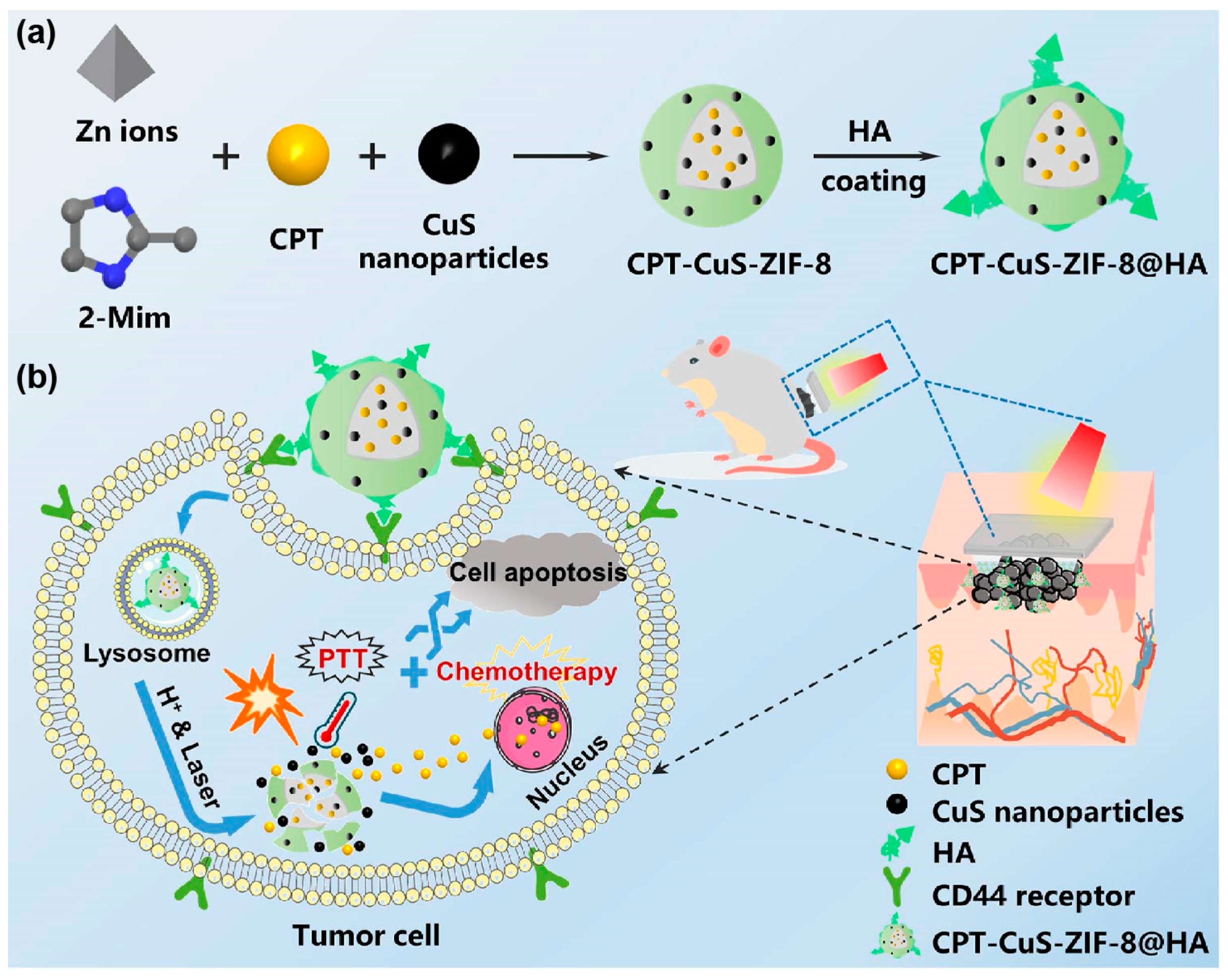 Pharmaceuticals 15 00602 g014