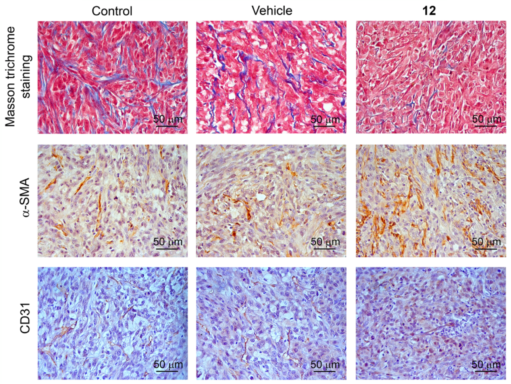 Pharmaceuticals 15 00603 g009