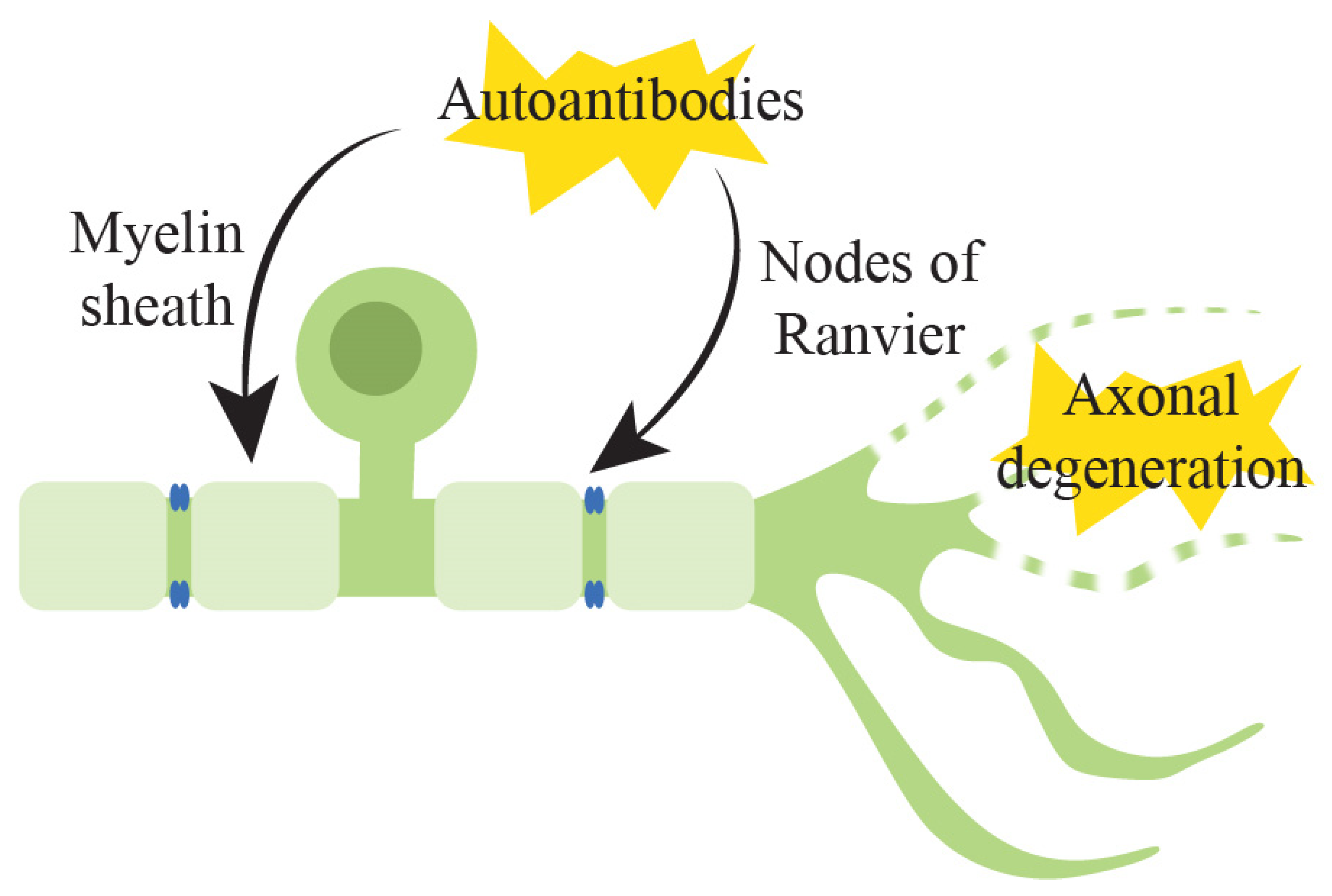 Pharmaceuticals 15 00607 g002 550