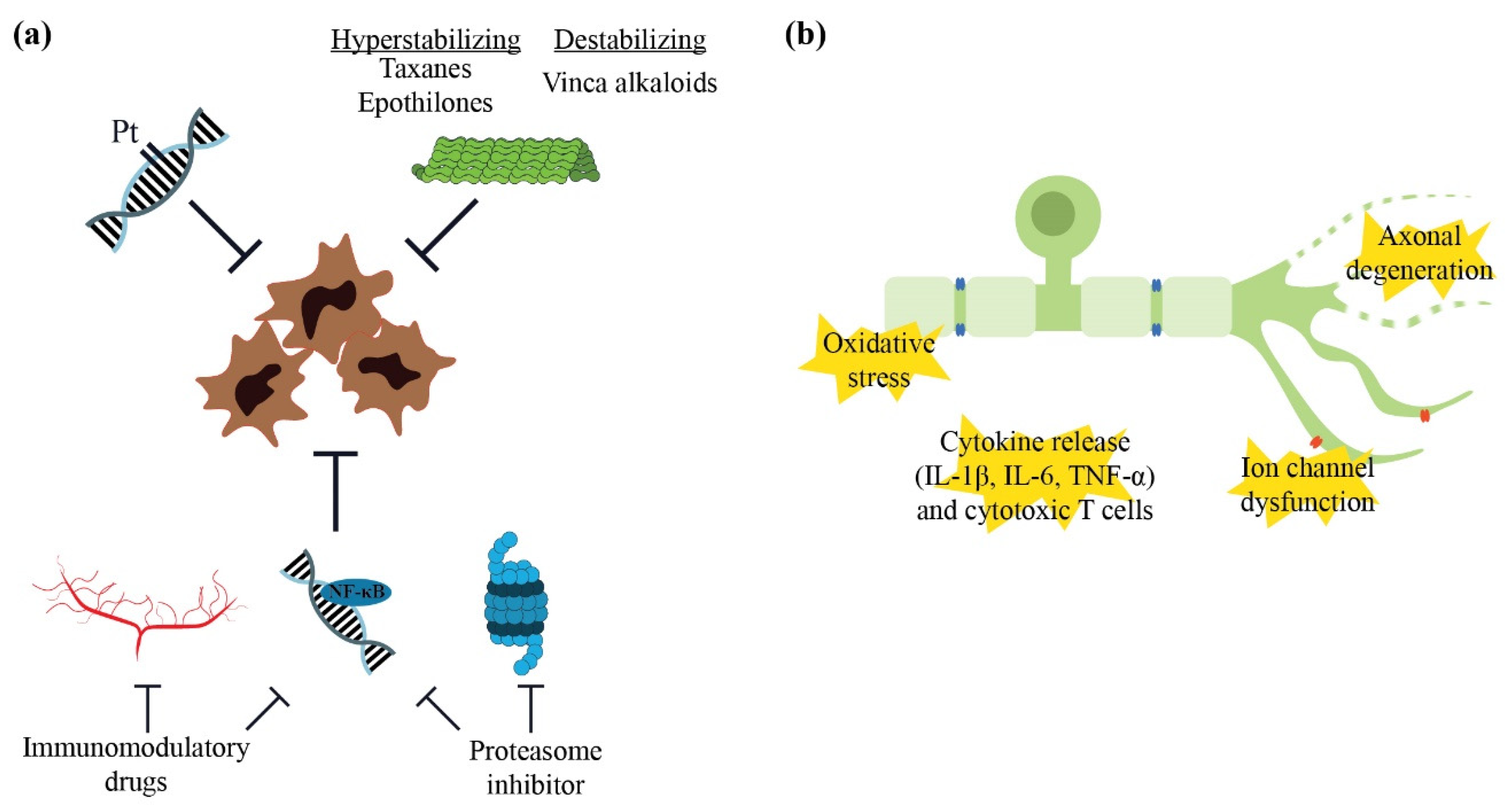 Pharmaceuticals 15 00607 g003 550