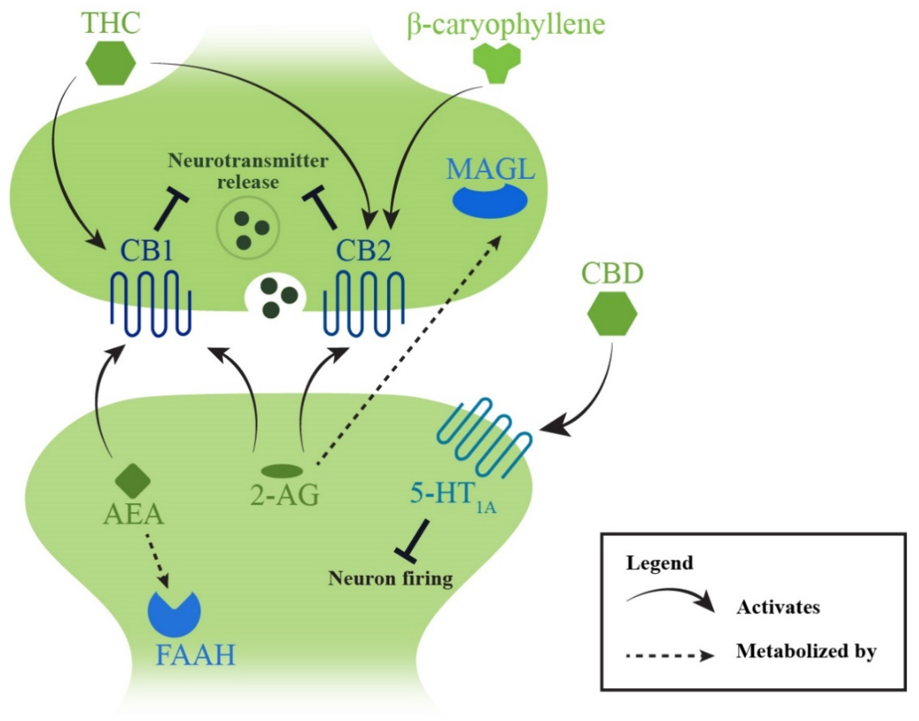 Pharmaceuticals 15 00607 g005 550