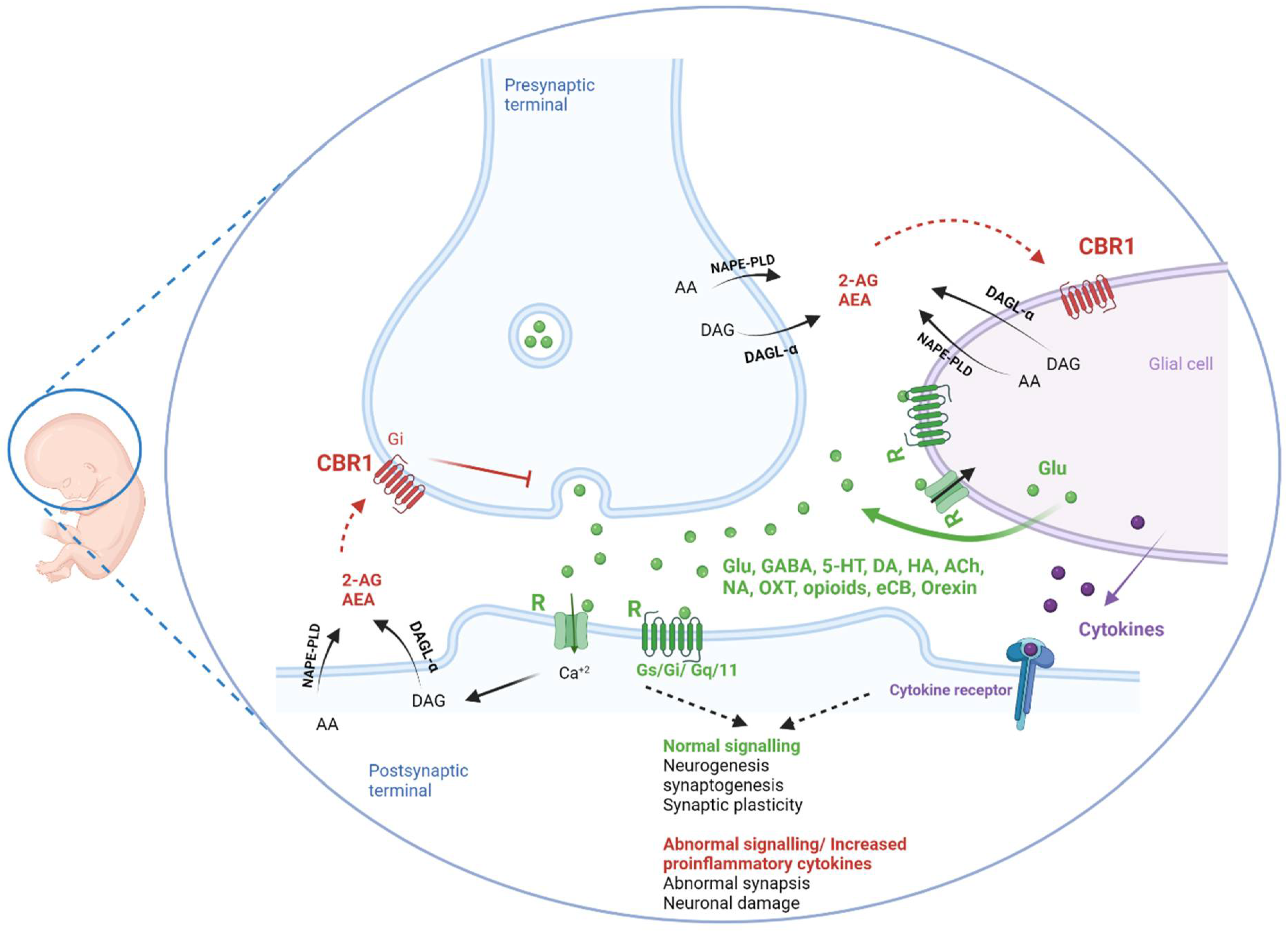 Pharmaceuticals 15 00612 g002