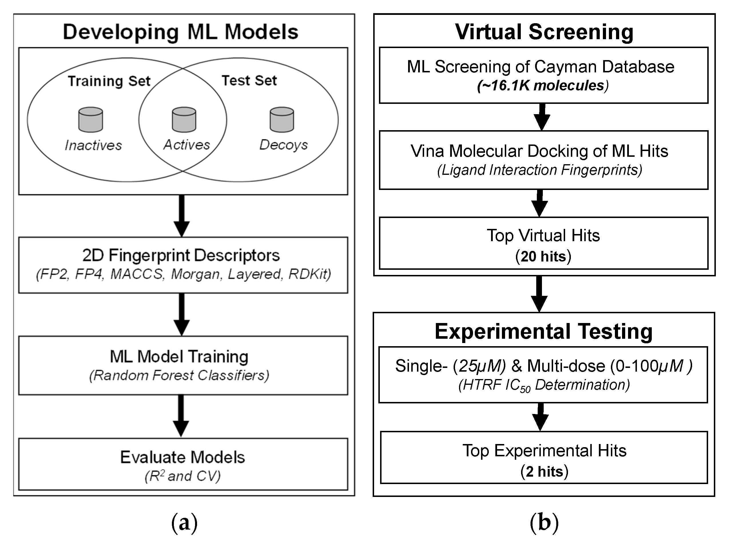 Pharmaceuticals 15 00613 g001 550