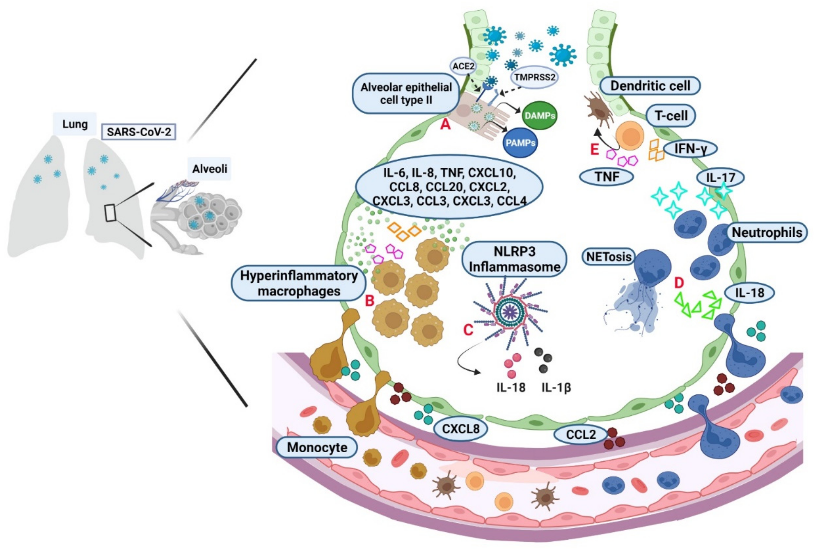 Pharmaceuticals 15 00616 g001 Pharmaceuticals 15 00616 g001