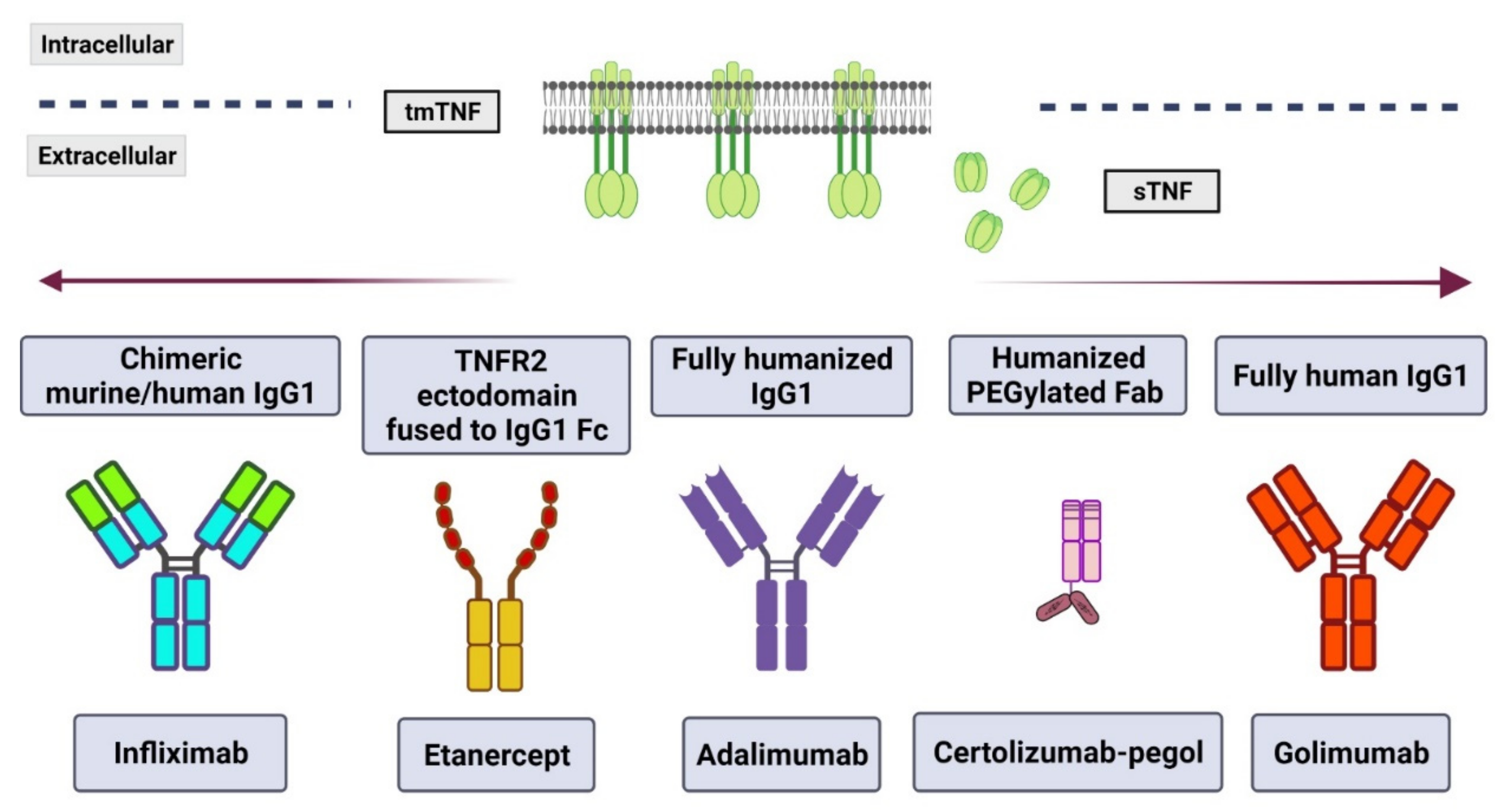 Pharmaceuticals 15 00616 g002 Pharmaceuticals 15 00616 g002