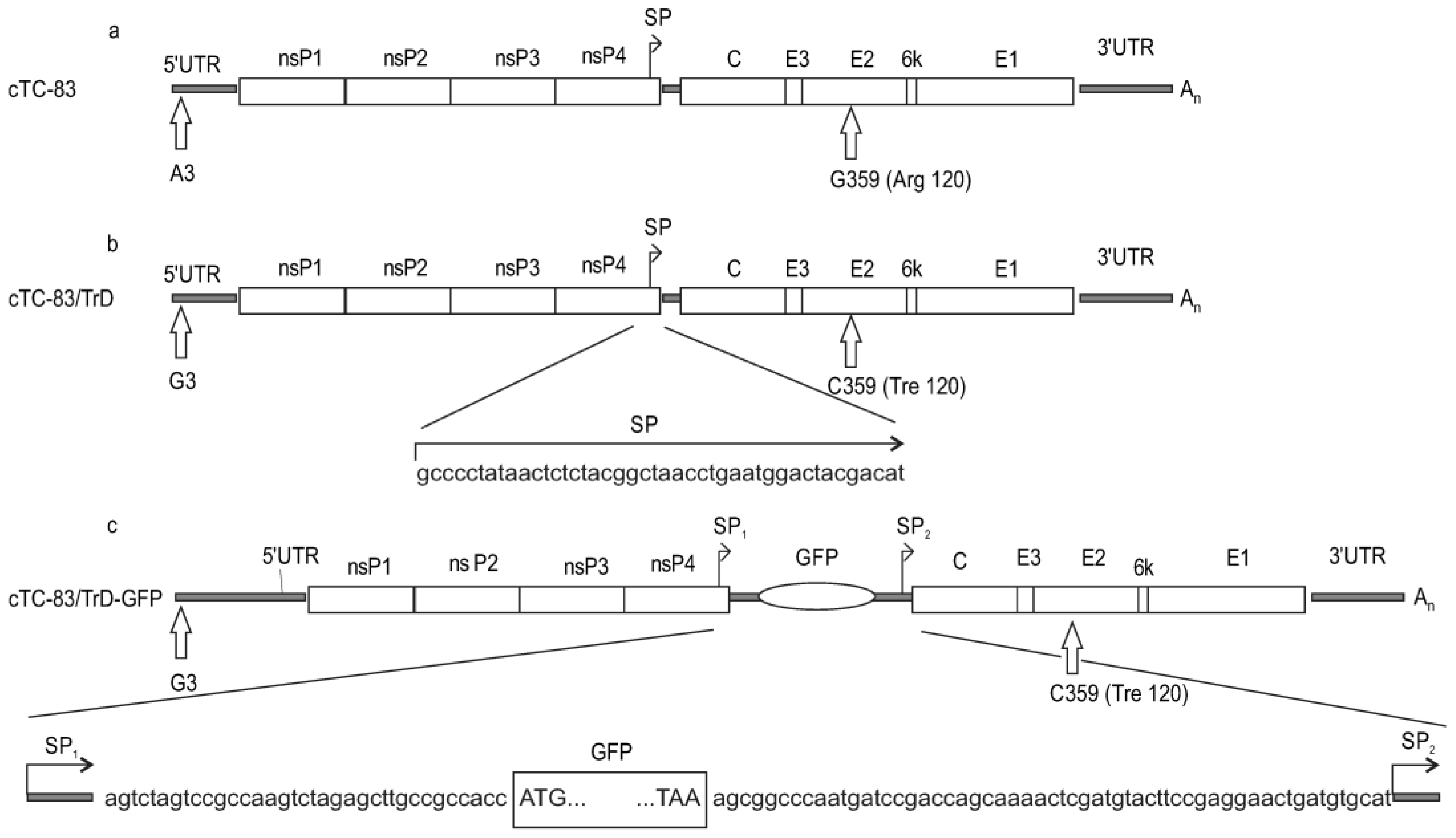 Pharmaceuticals 15 00617 g001