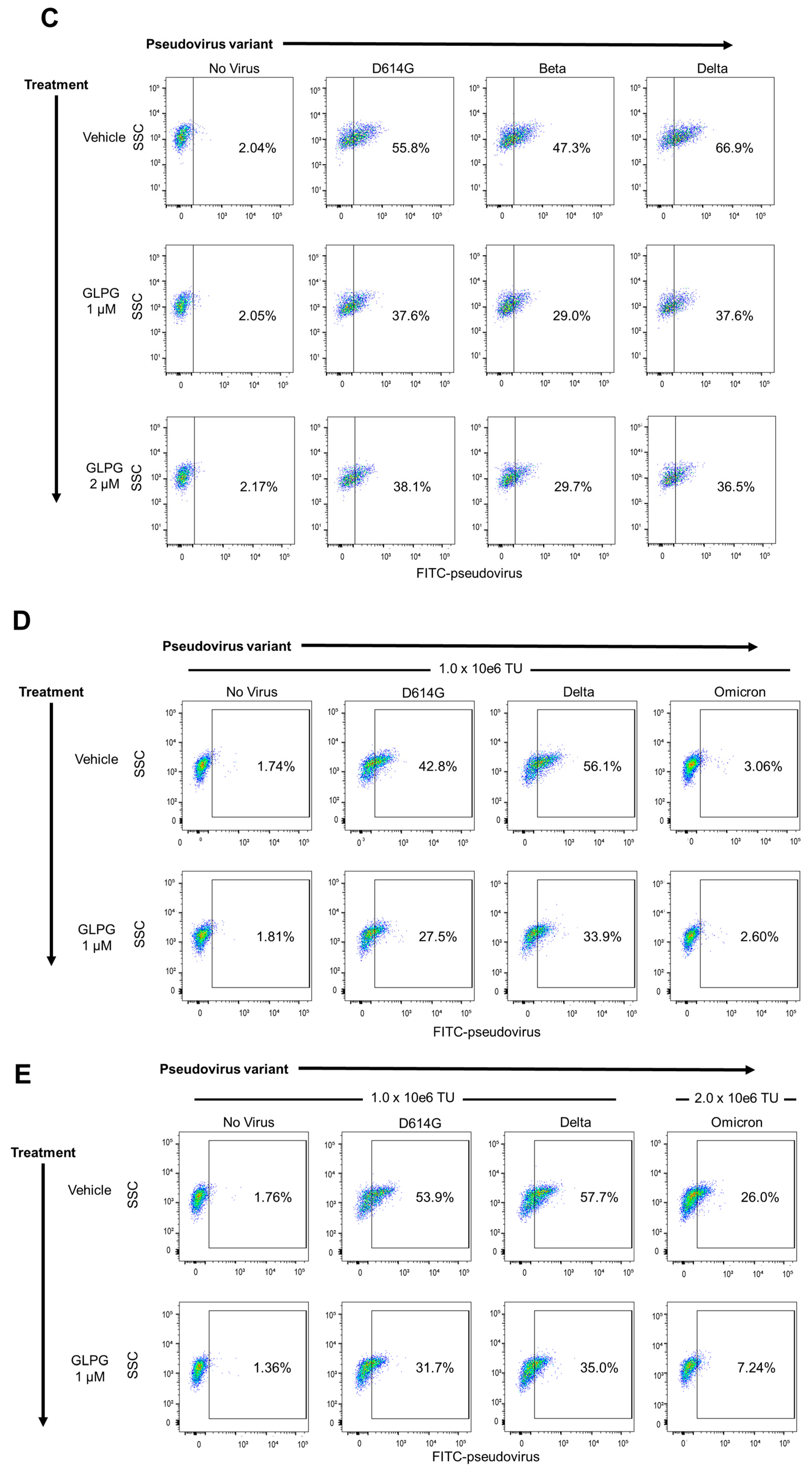 Pharmaceuticals 15 00618 g001b 550