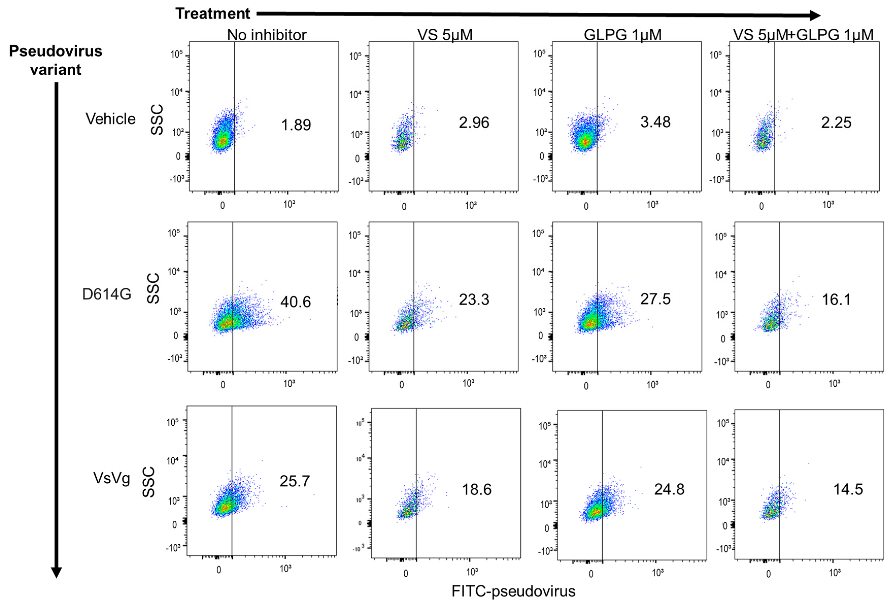 Pharmaceuticals 15 00618 g002 550