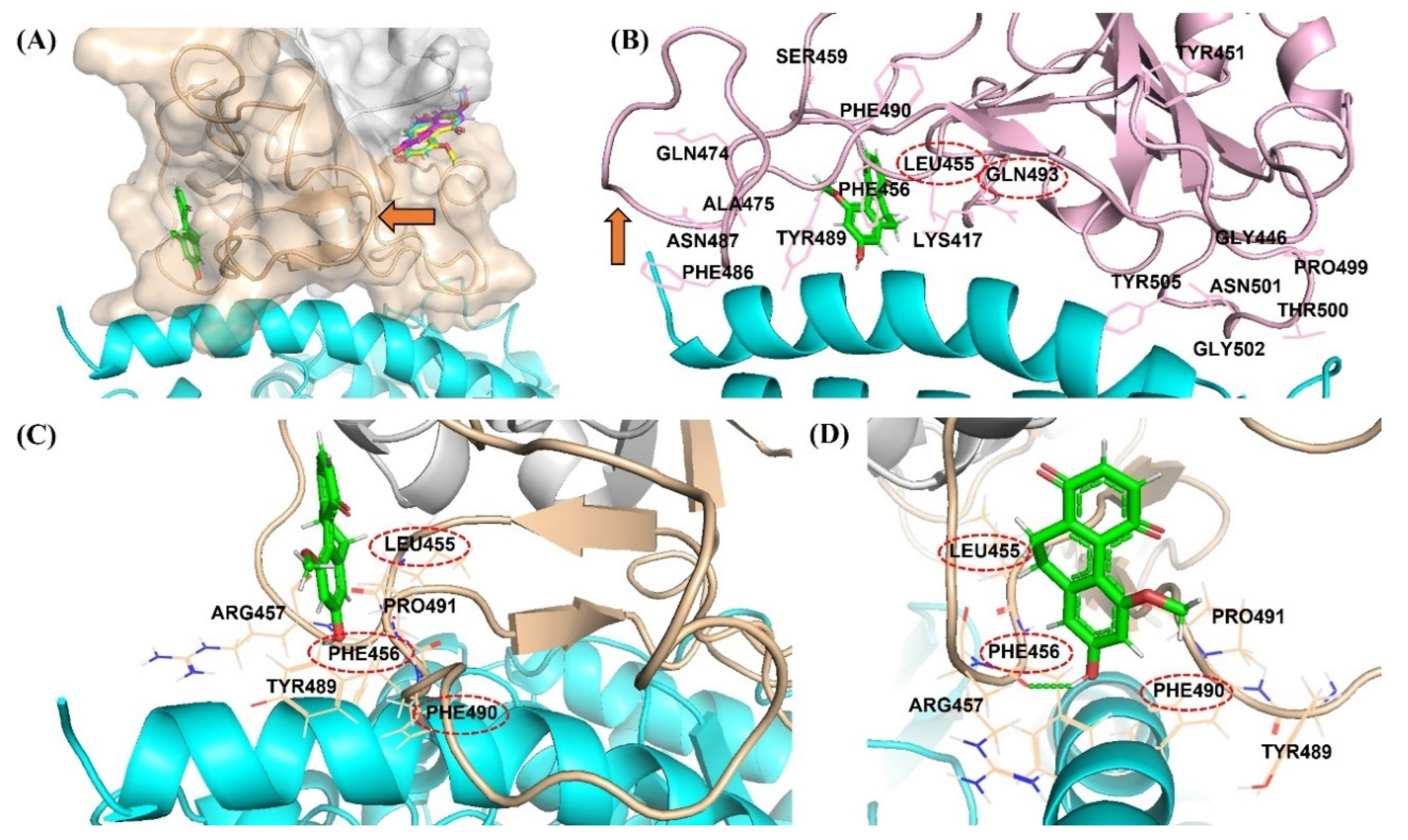 Pharmaceuticals 15 00620 g007