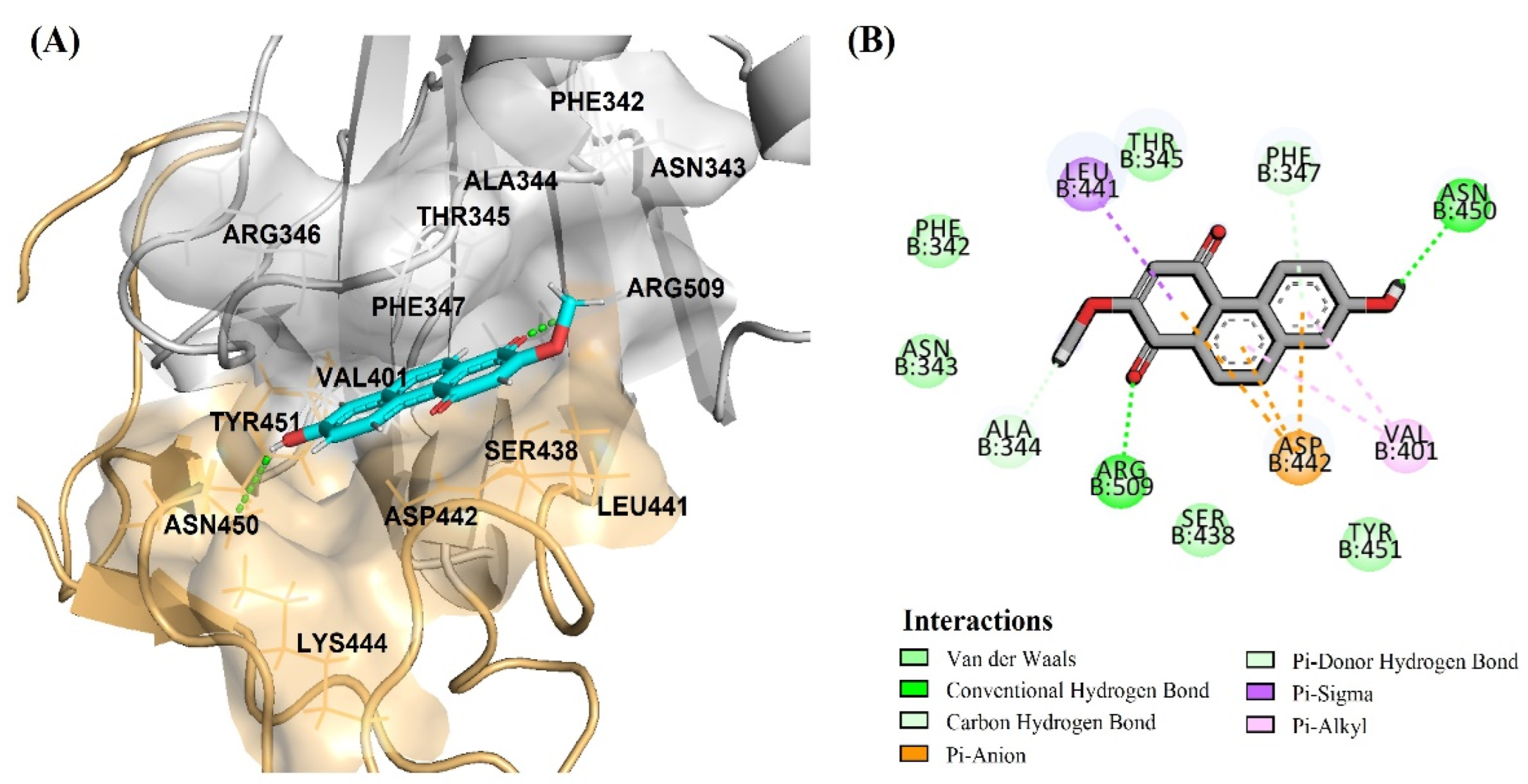 Pharmaceuticals 15 00620 g009