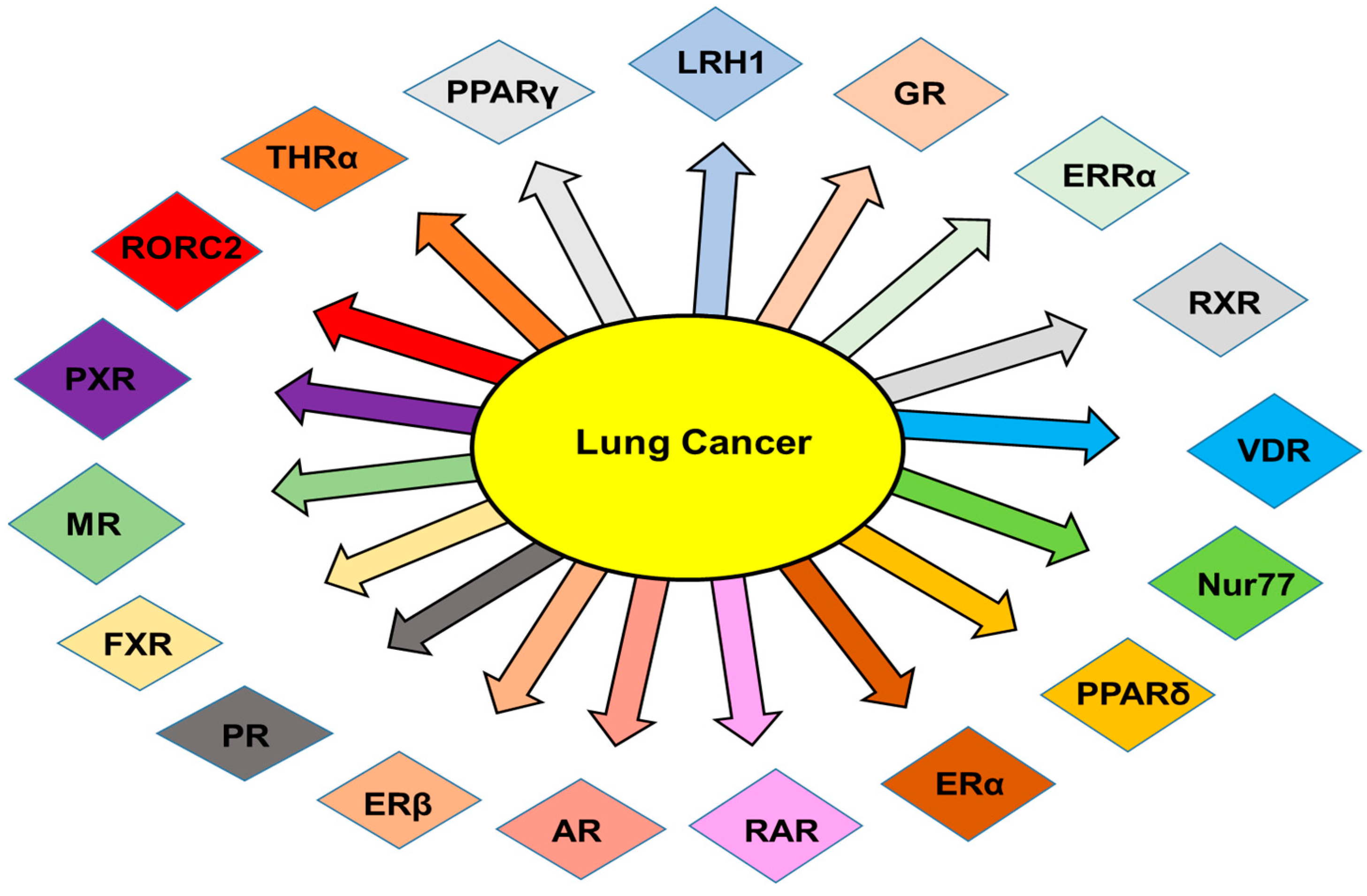 Targeting Nuclear Receptors in Lung Cancer—Novel