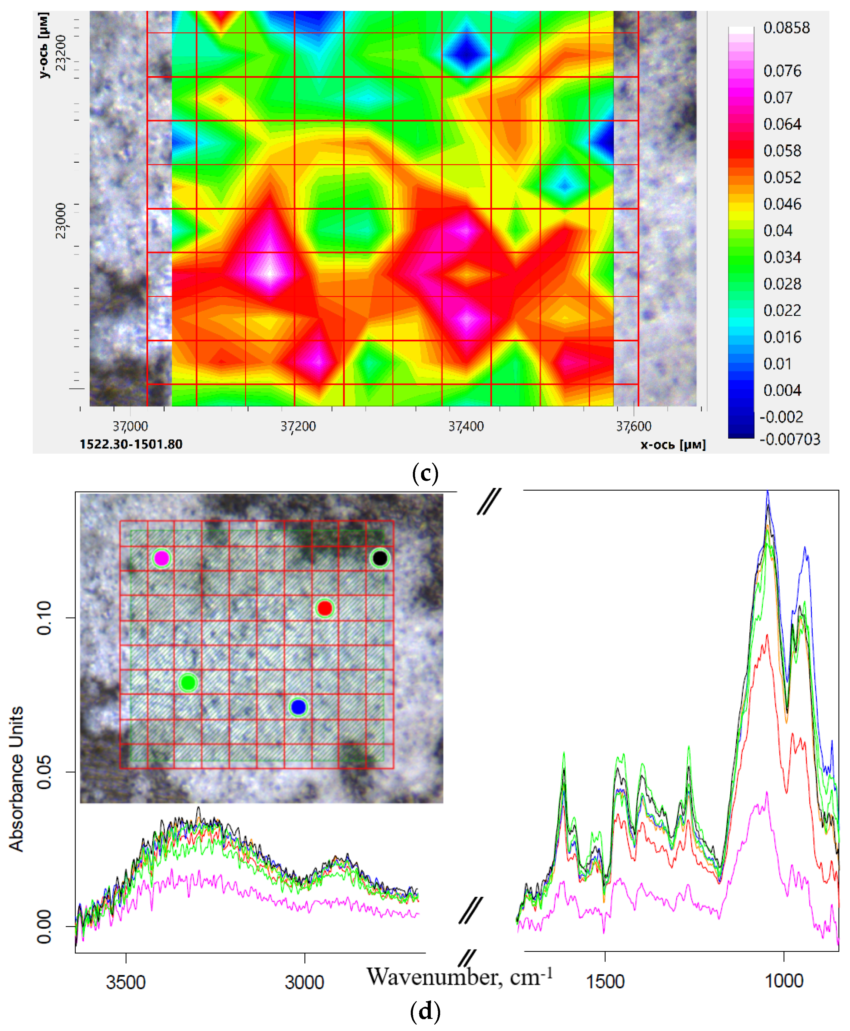 Pharmaceuticals 15 00625 g006b