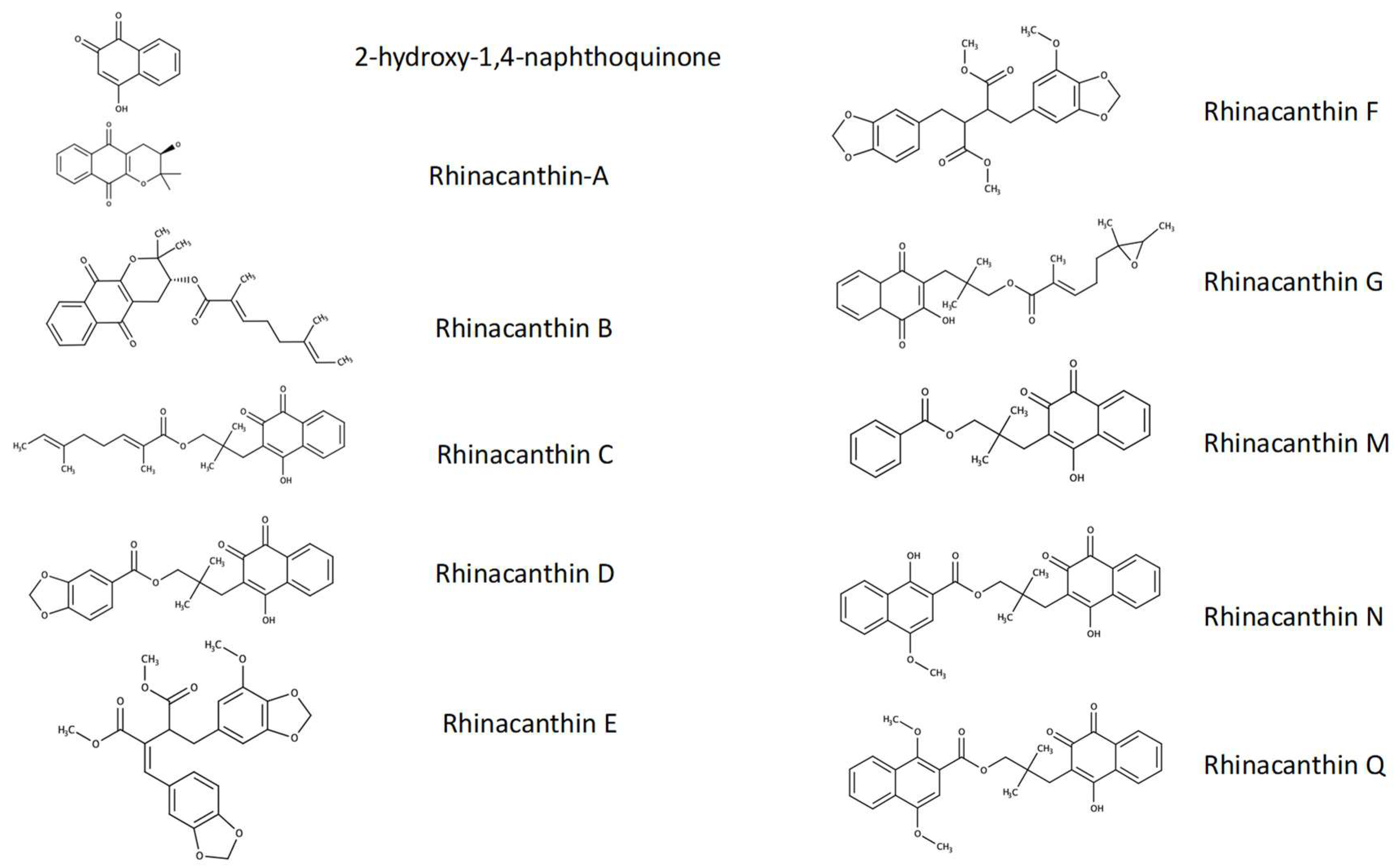 Pharmaceuticals 15 00627 g001 550
