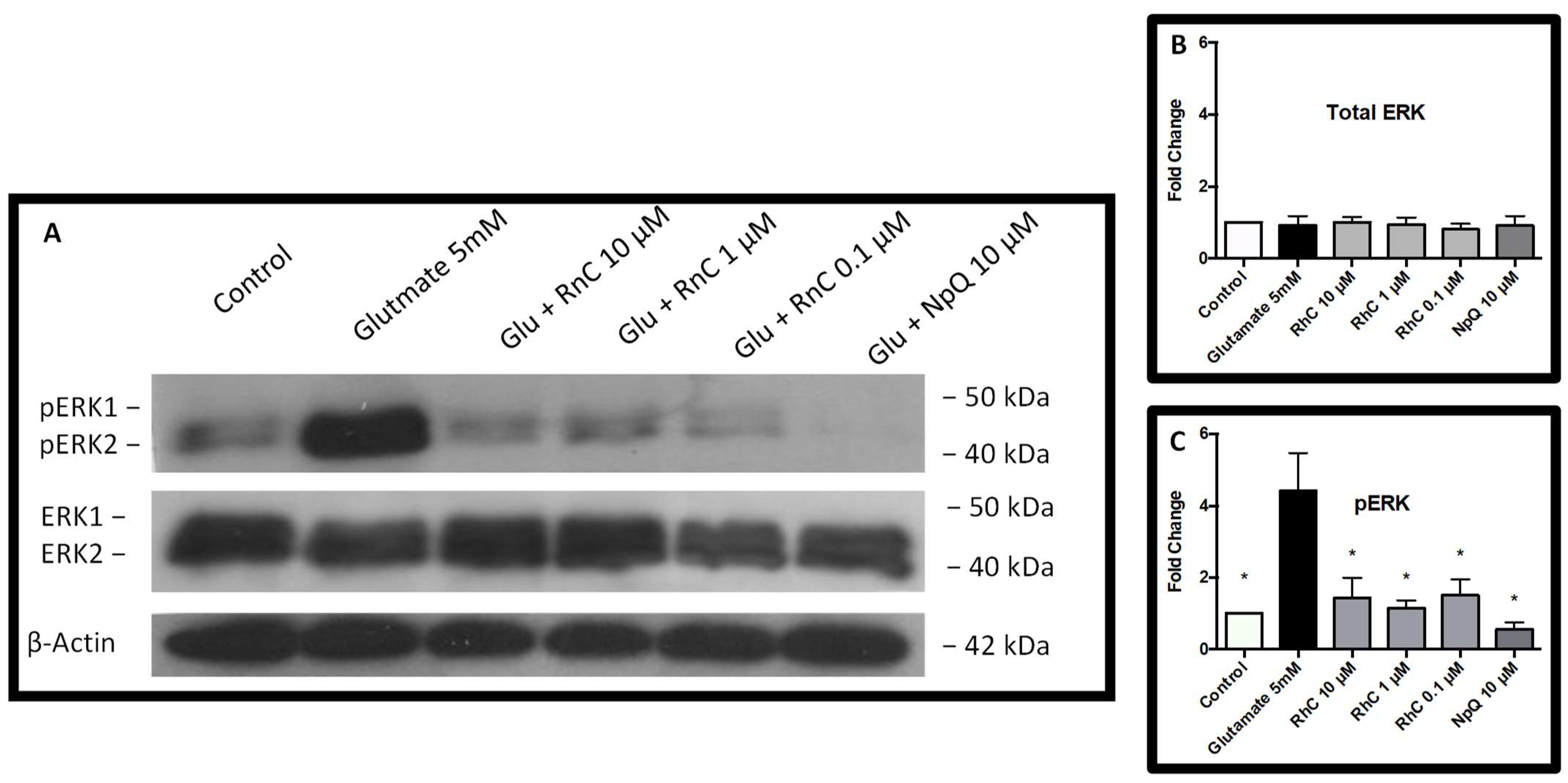 Pharmaceuticals 15 00627 g006 550