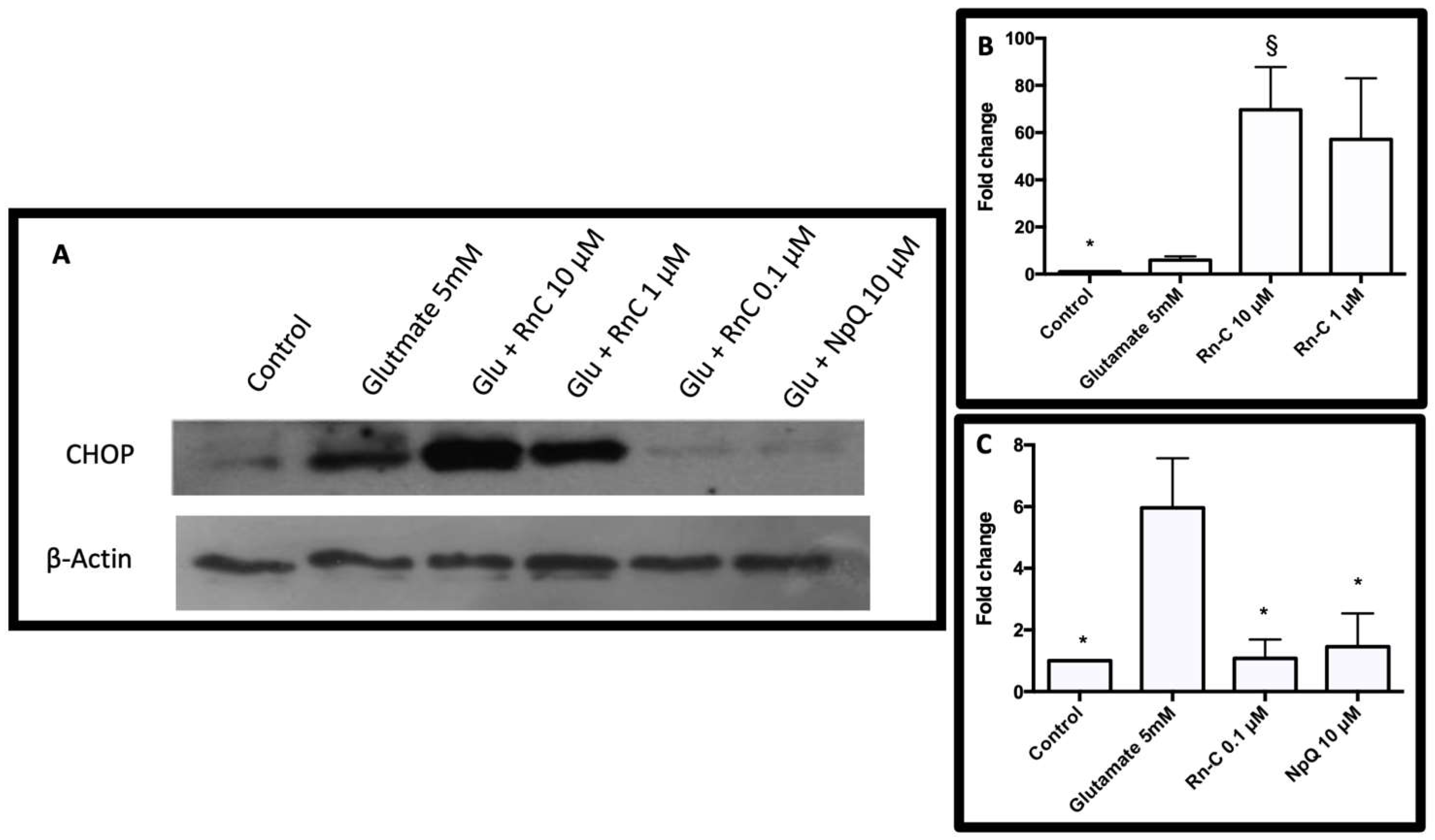 Pharmaceuticals 15 00627 g007 550