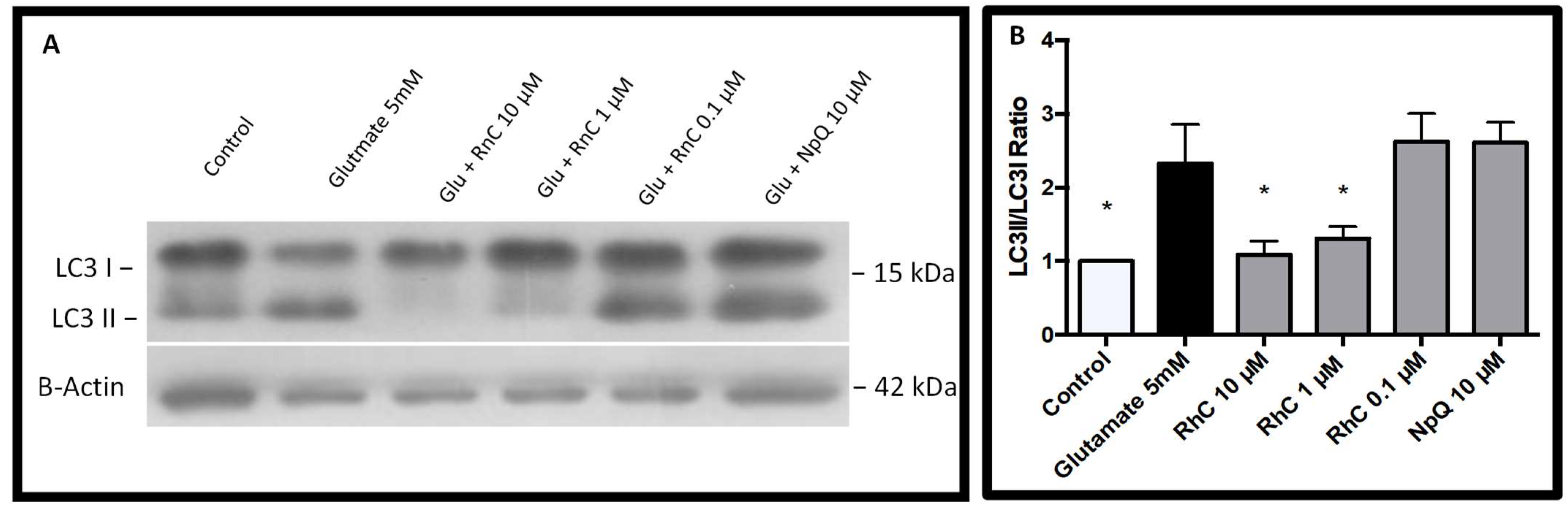 Pharmaceuticals 15 00627 g008 550