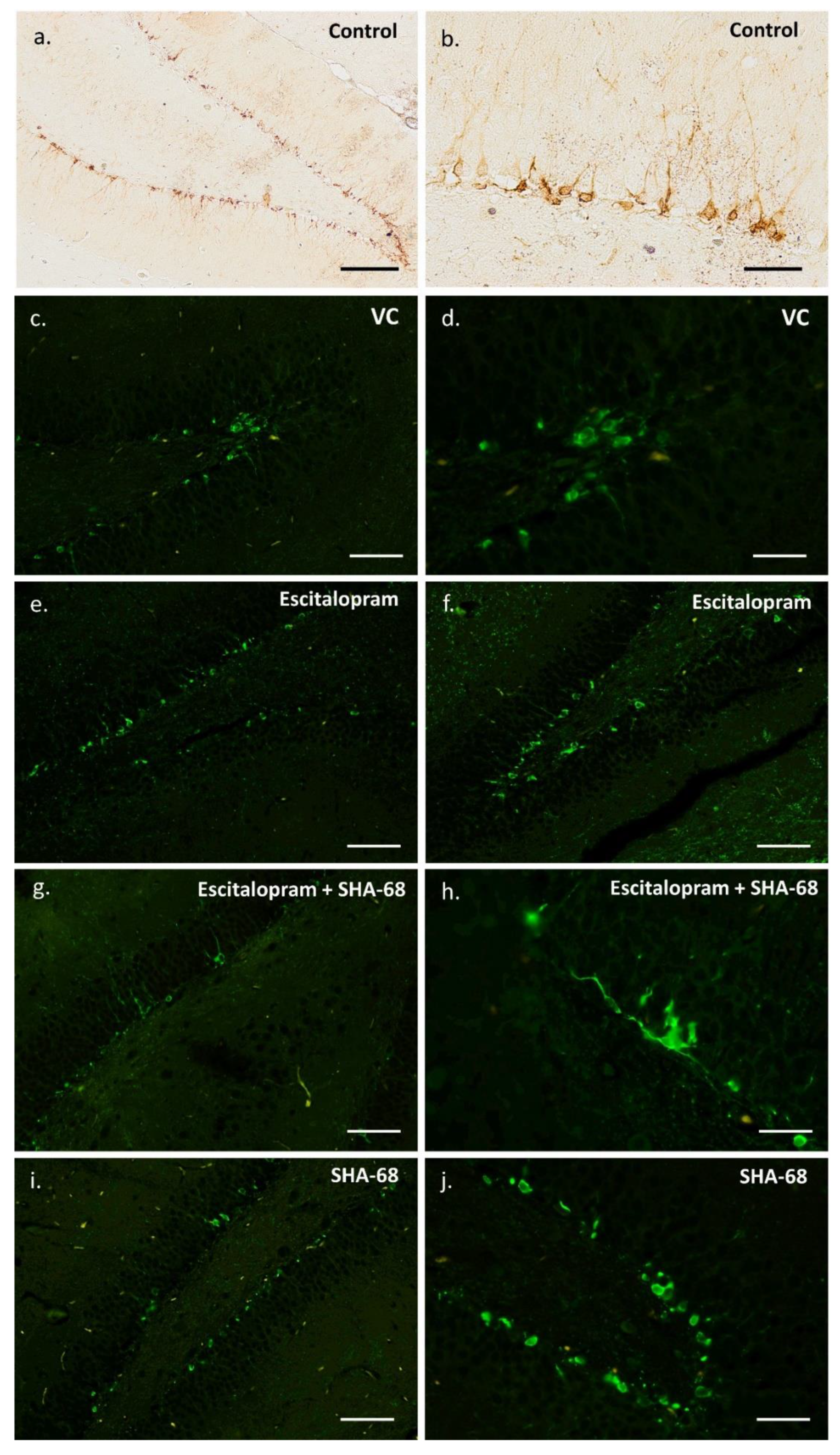 Pharmaceuticals 15 00631 g002