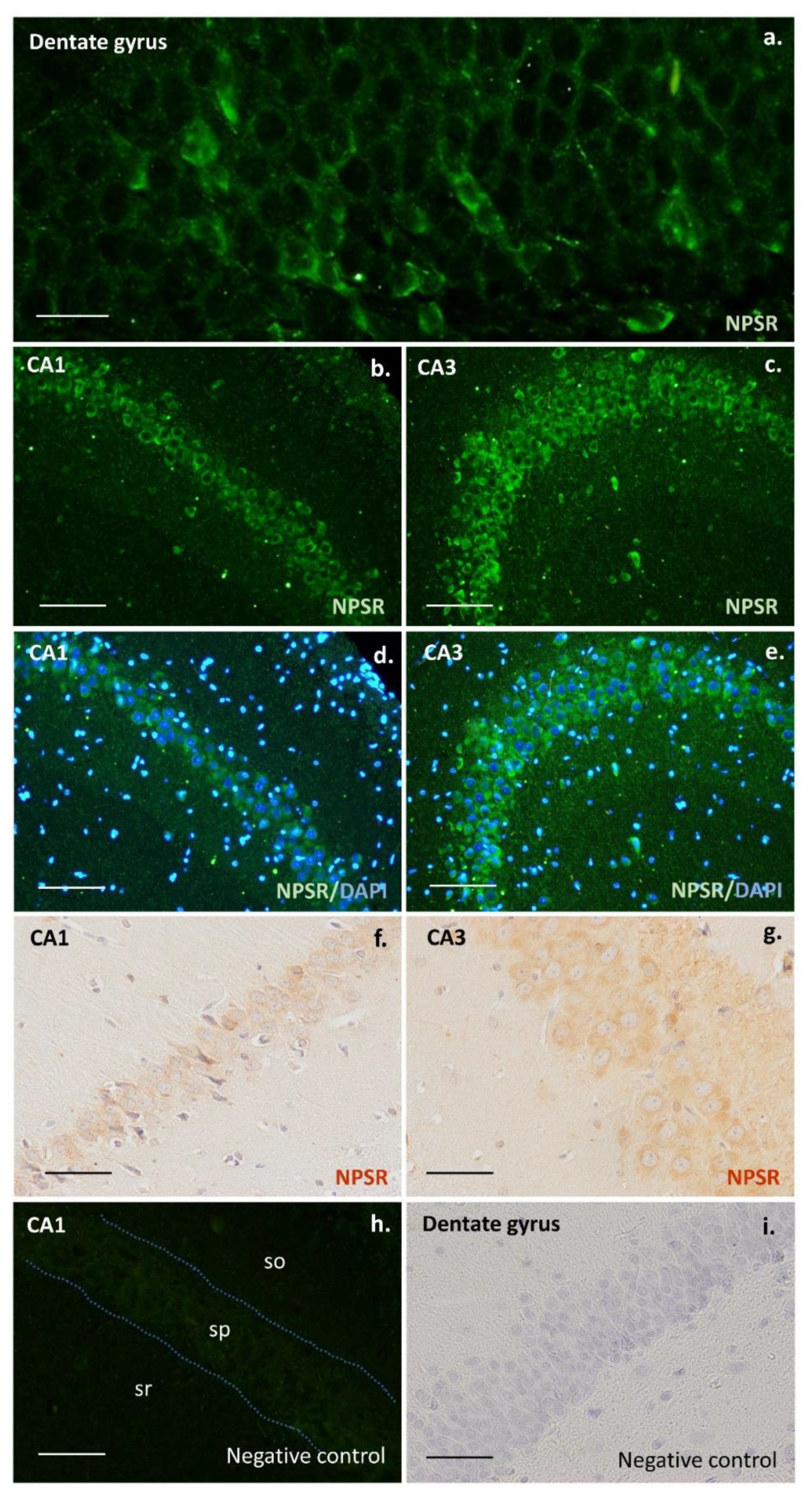 Pharmaceuticals 15 00631 g004