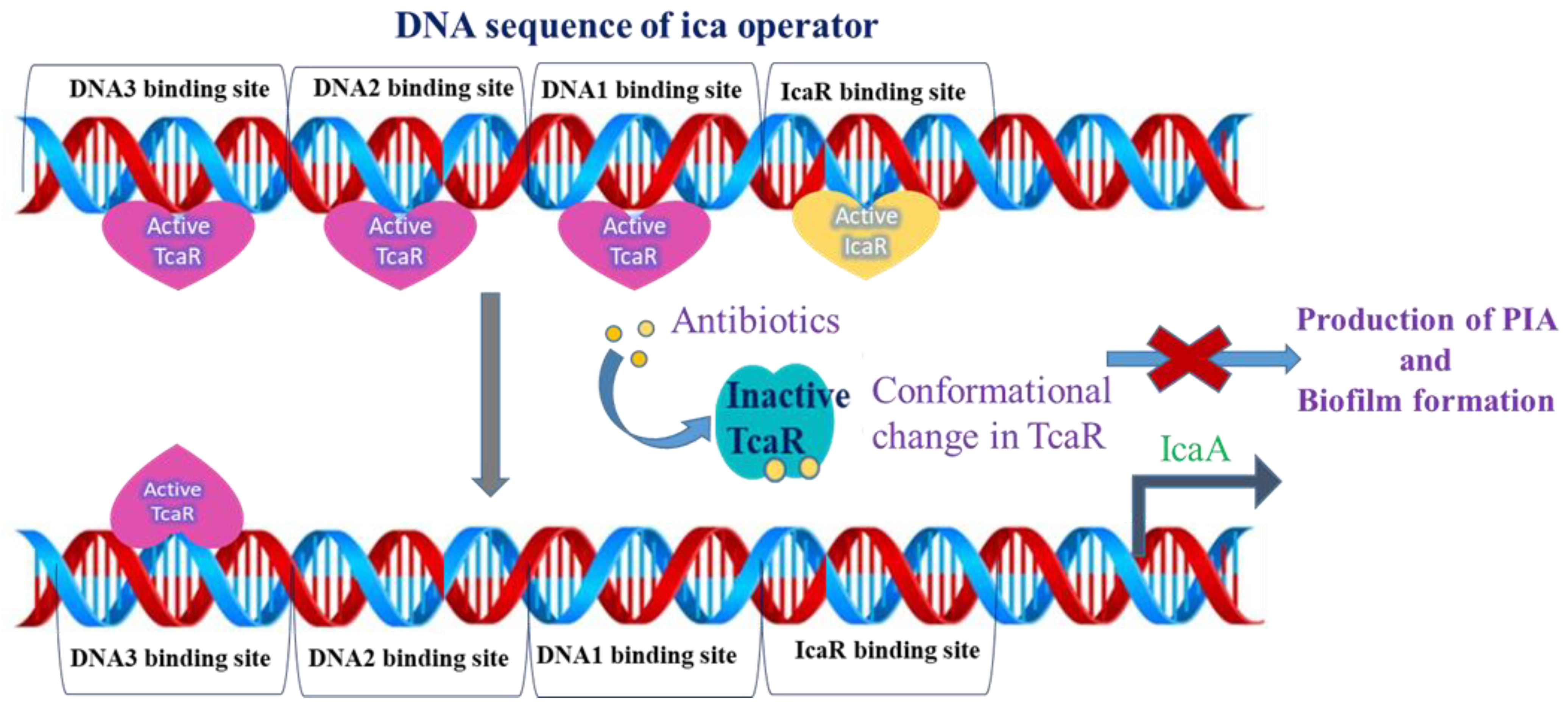 Pharmaceuticals 15 00635 g001 550