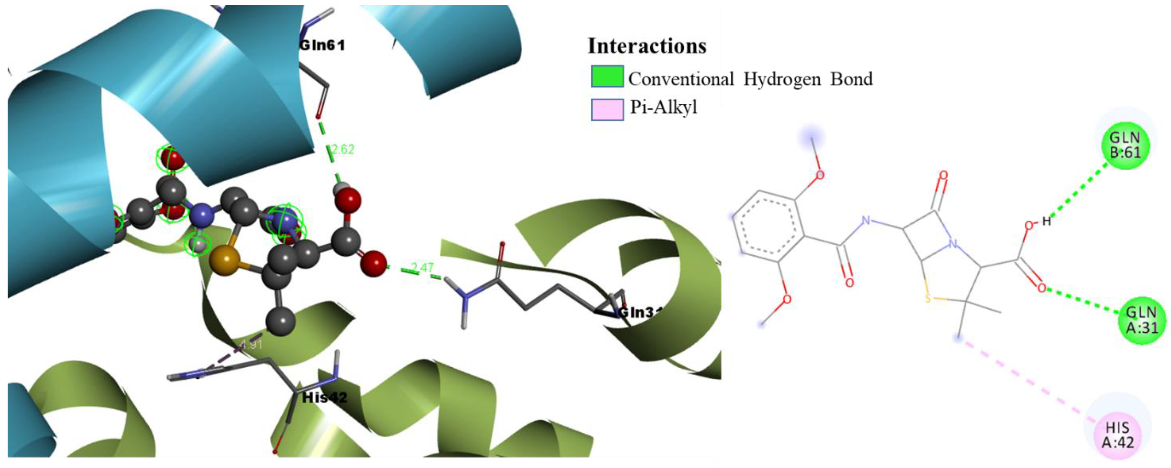 Pharmaceuticals 15 00635 g003 550