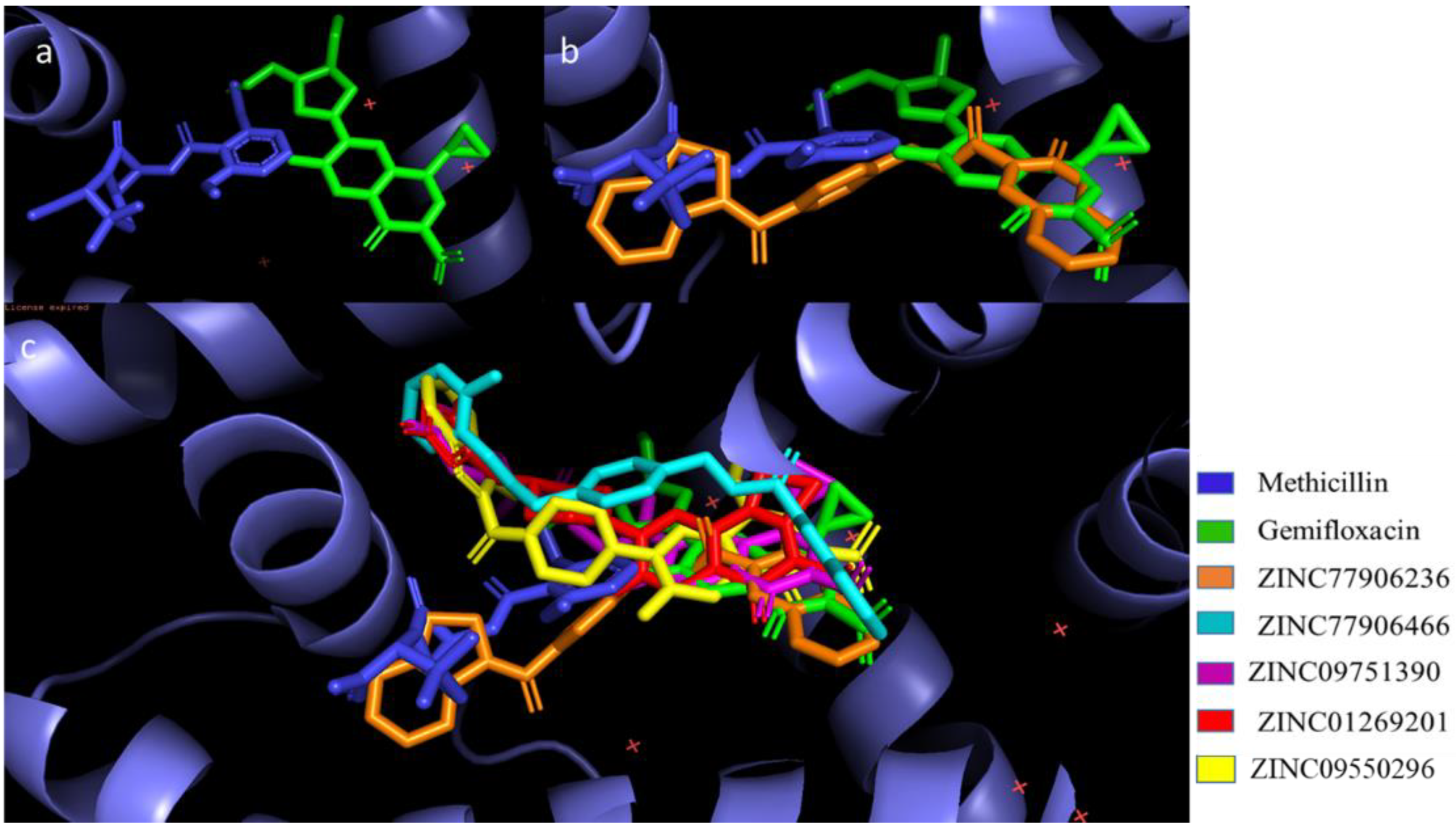 Pharmaceuticals 15 00635 g005 550