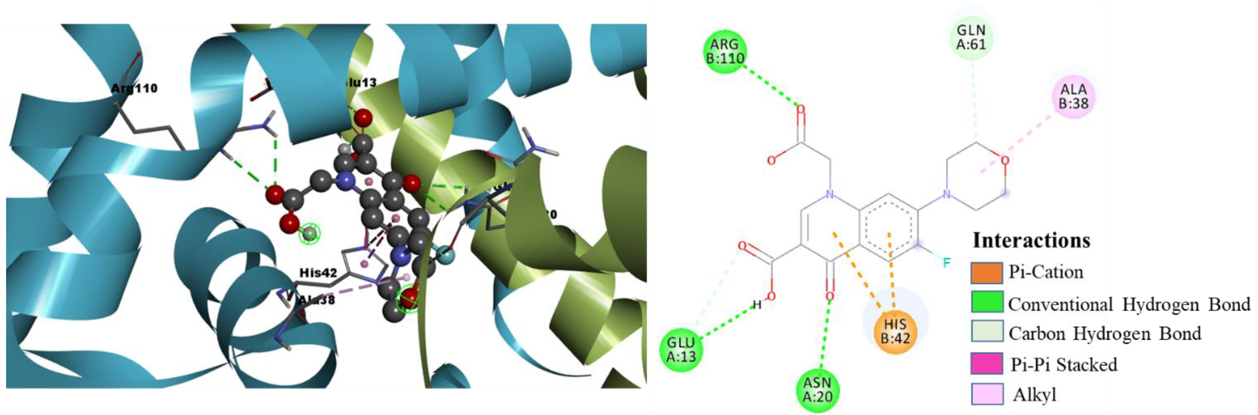 Pharmaceuticals 15 00635 g008 550