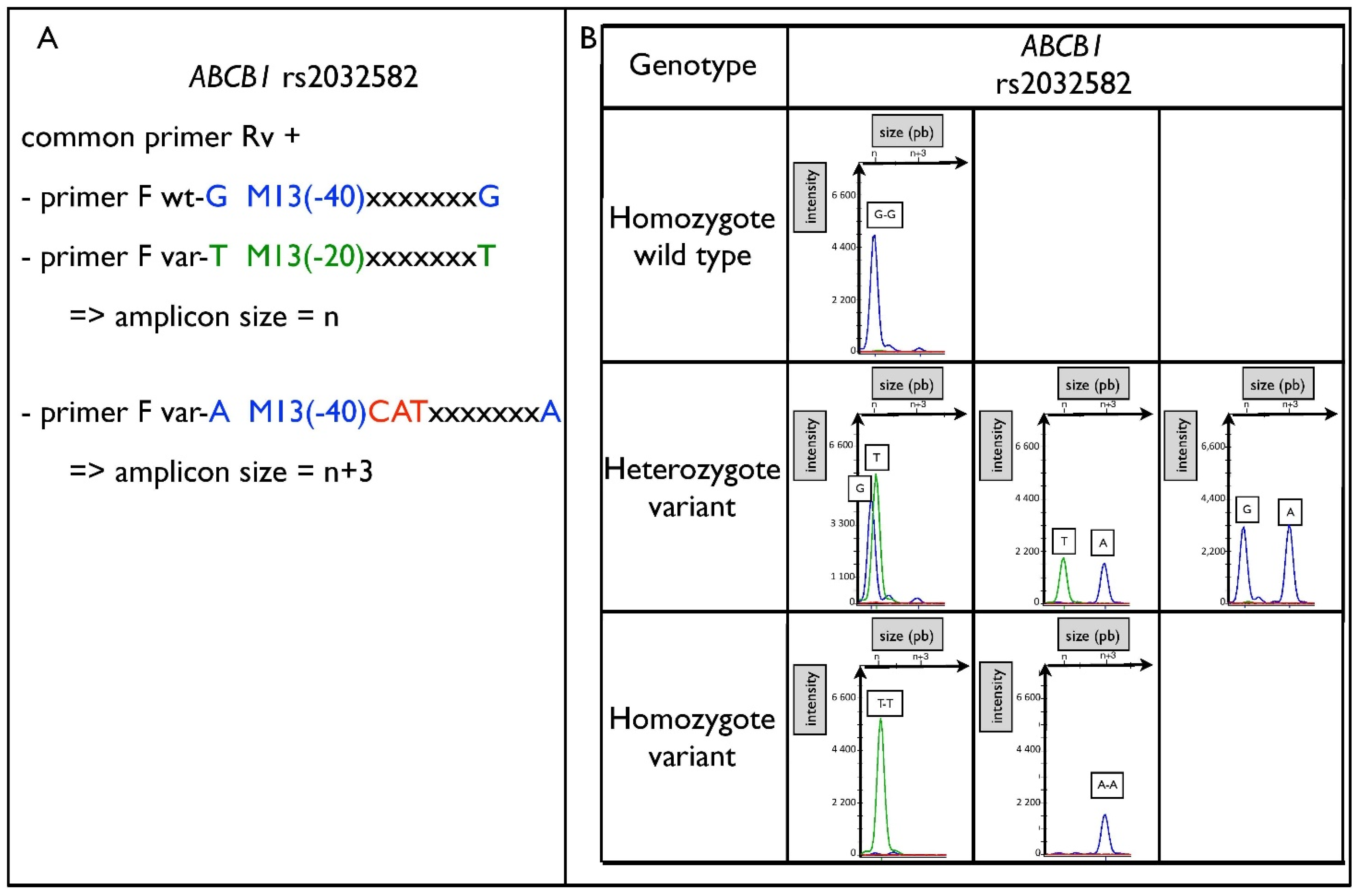 Pharmaceuticals 15 00637 g003 550